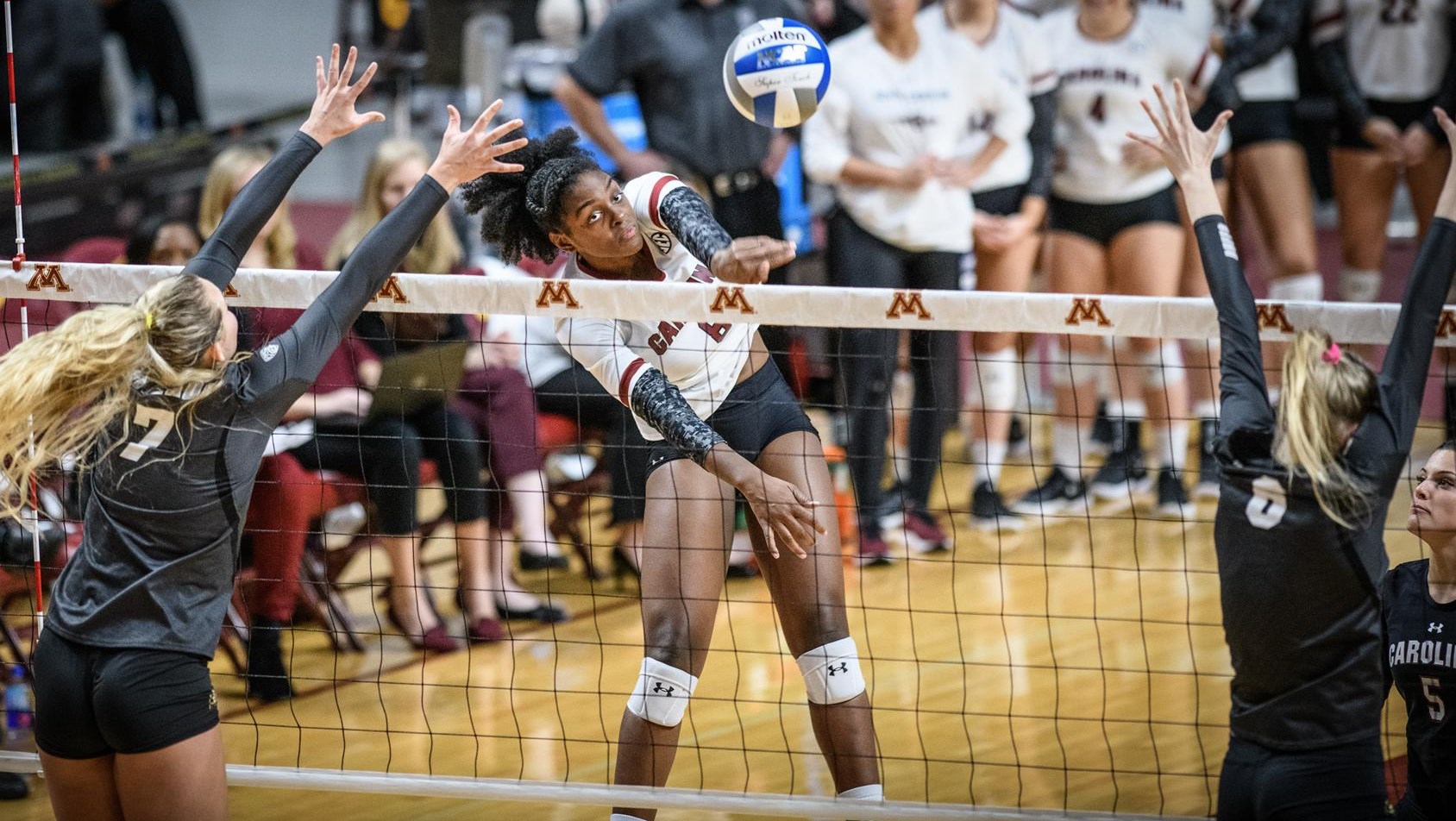 Mikayla Shields Women's Volleyball University of South Carolina