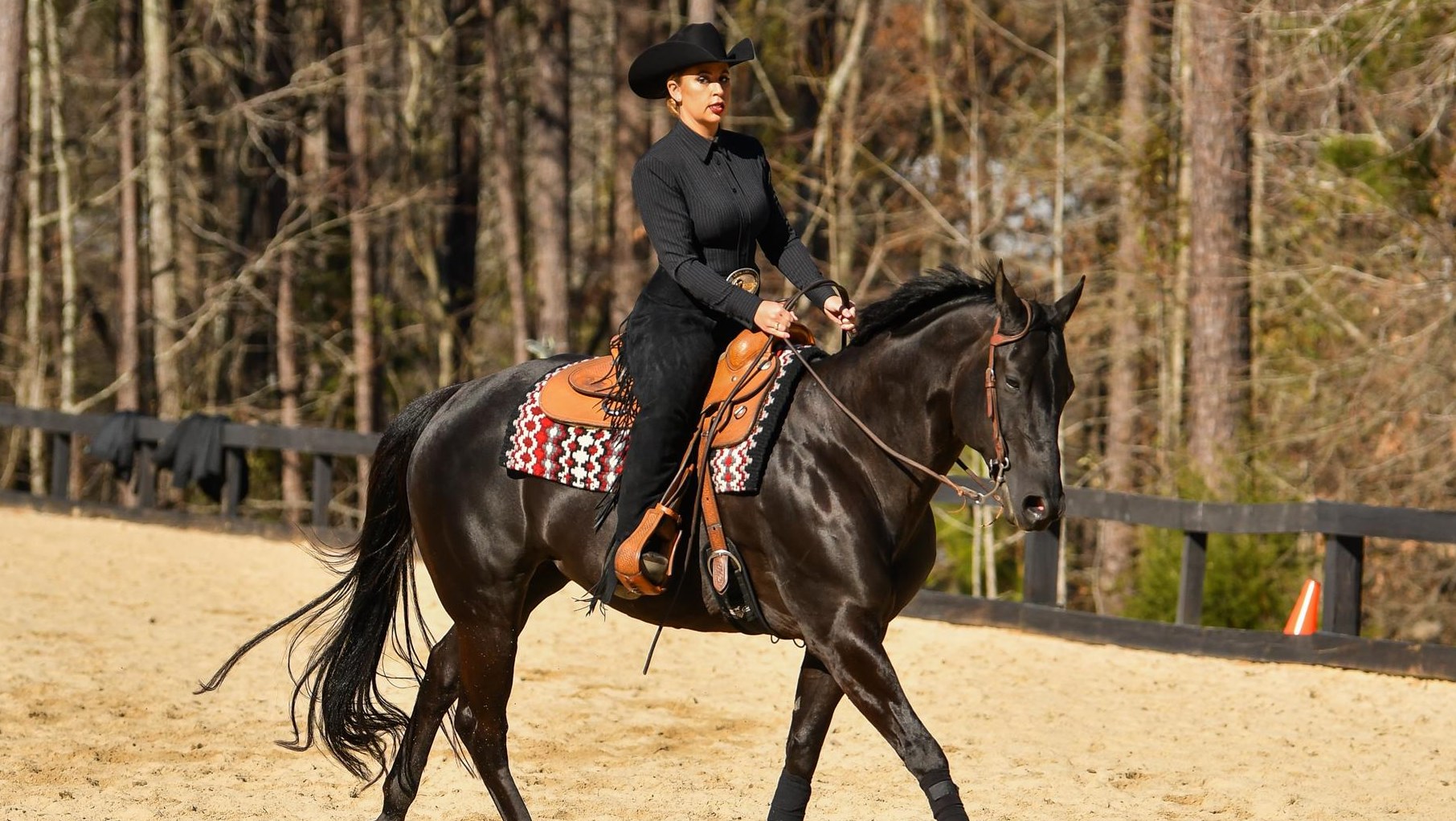 Madelynne Herlocker Equestrian University Of South Carolina Athletics