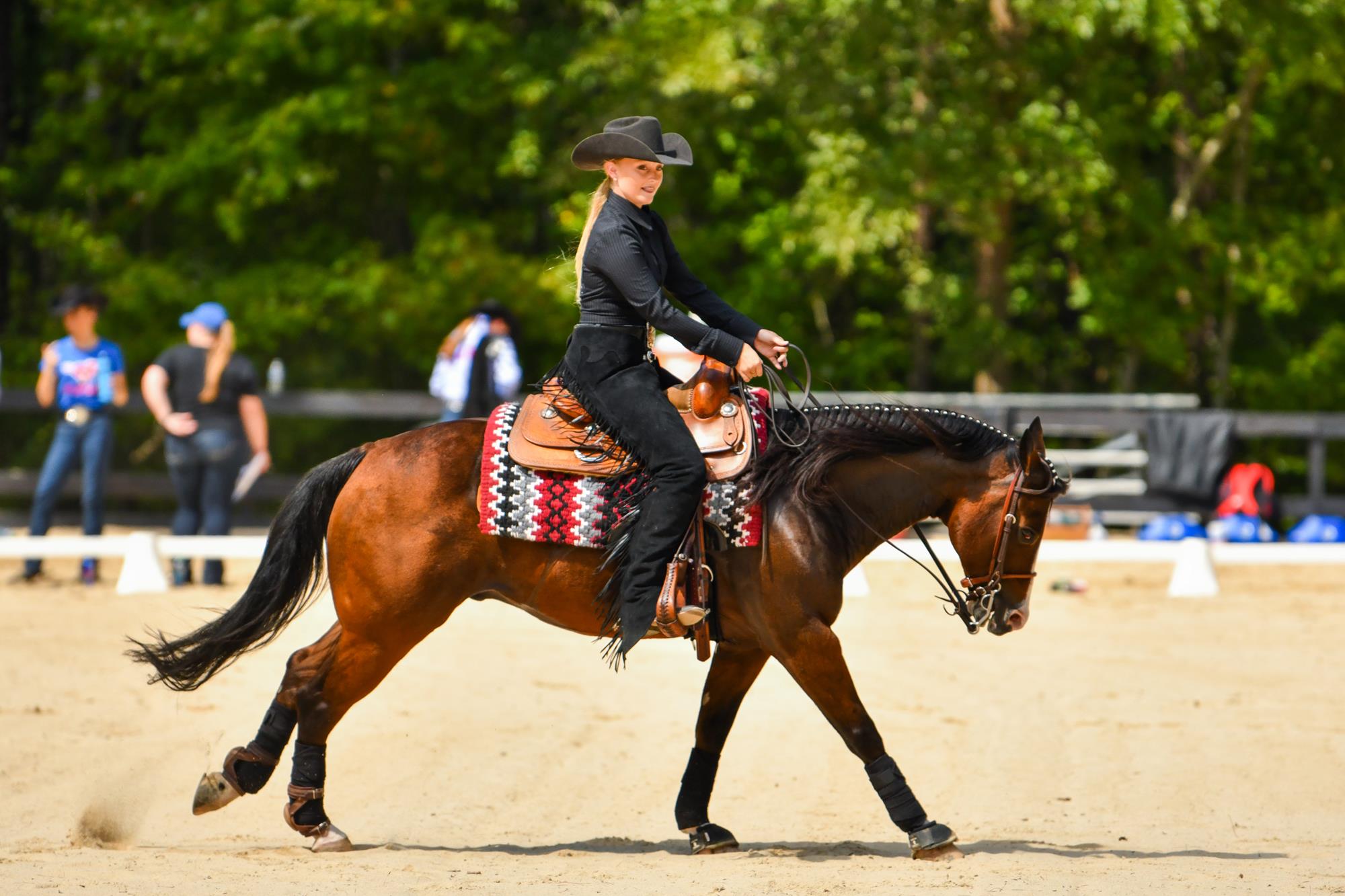 Jordan Scott Equestrian University Of South Carolina Athletics