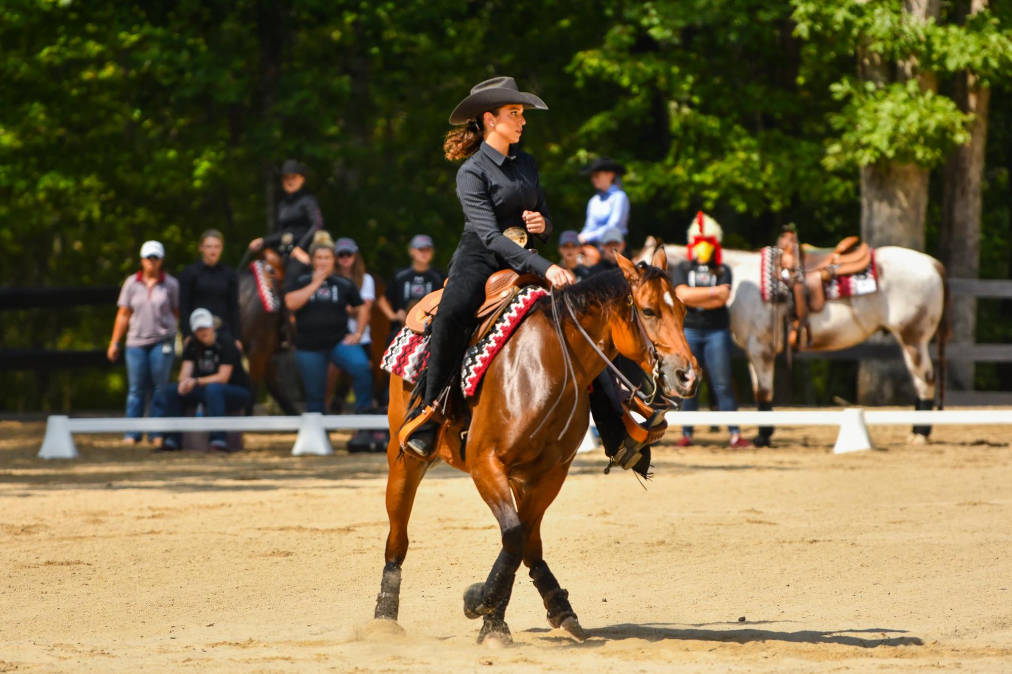 Bridgett White Equestrian University Of South Carolina Athletics