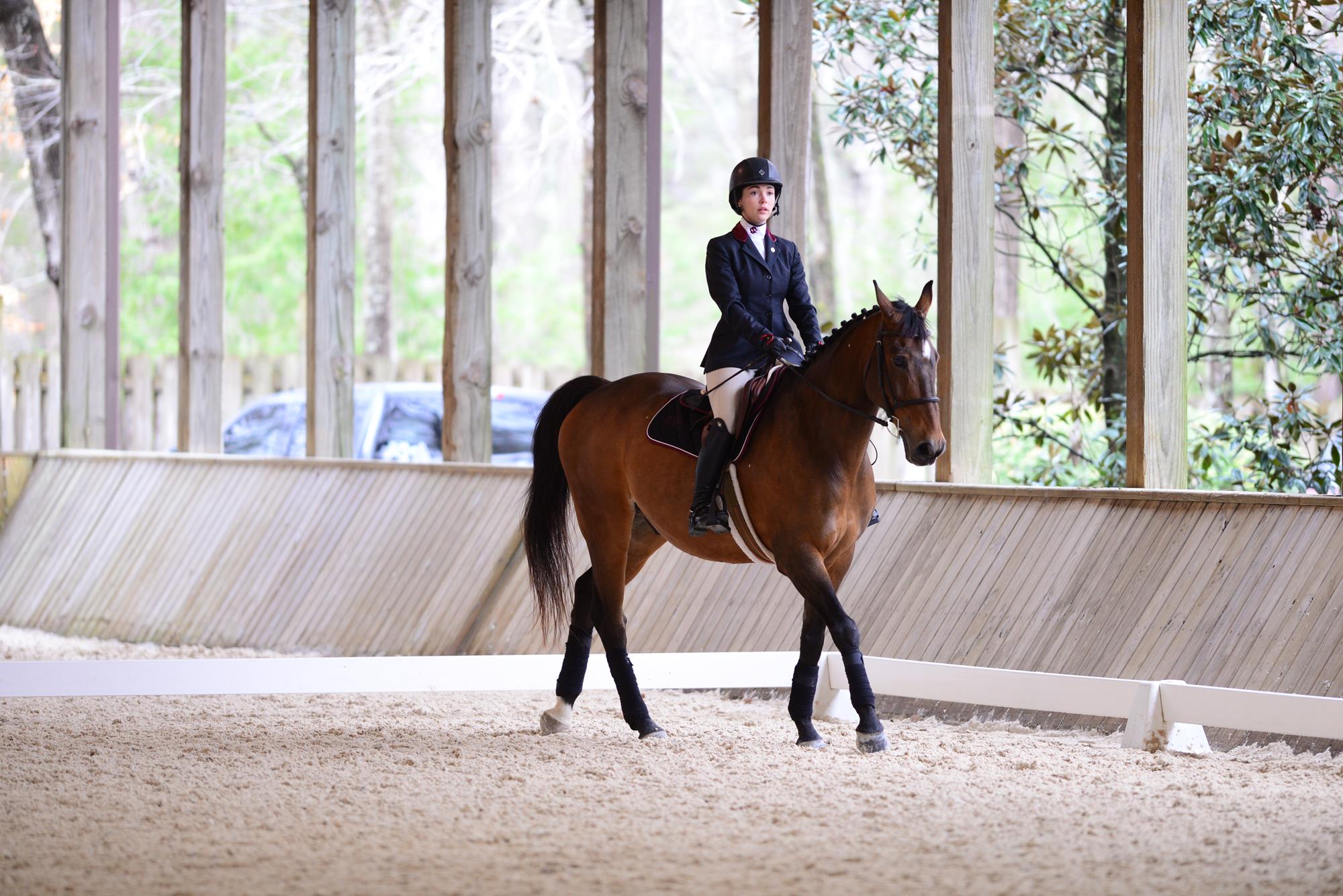 Hanna Powers Equestrian University Of South Carolina Athletics