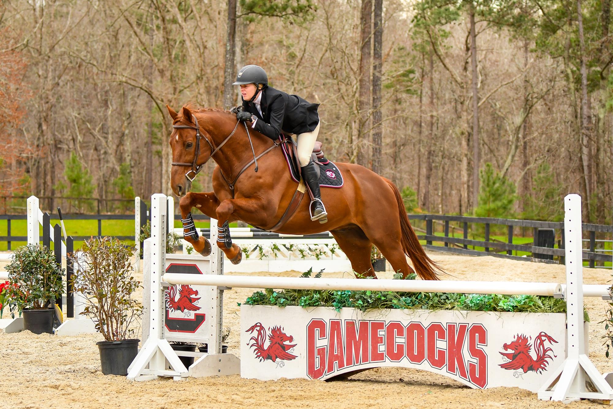 Sarah Isgett Equestrian University Of South Carolina Athletics