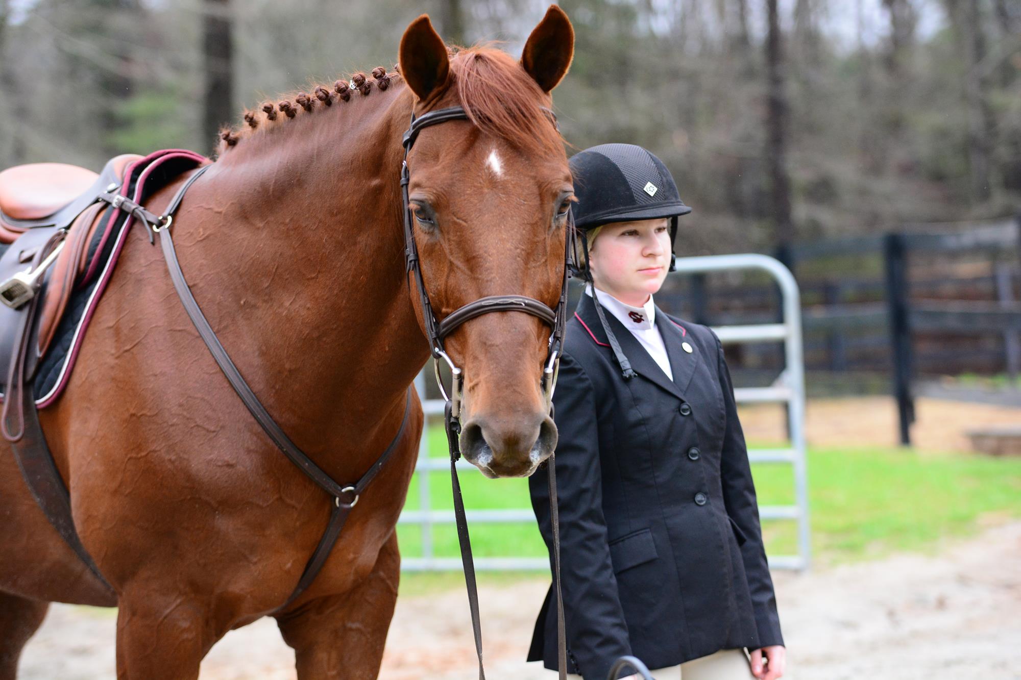 Kirklen Petersen Equestrian University Of South Carolina Athletics