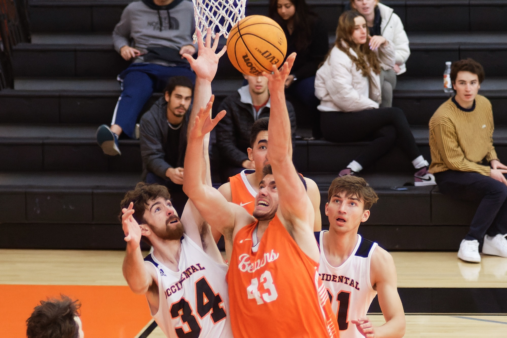 Pavlos Stavrinides - 2022-23 - Men's Basketball - California Institute ...