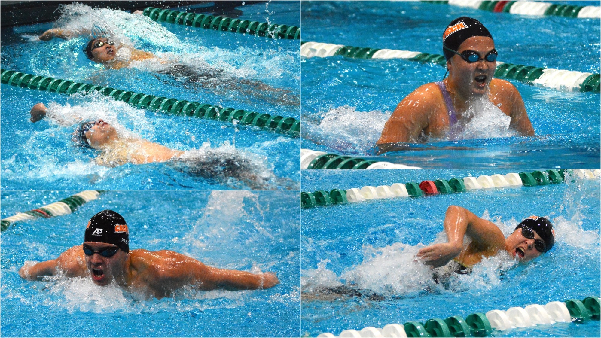 collage of five Caltech swimmers at the 2024 conference finals