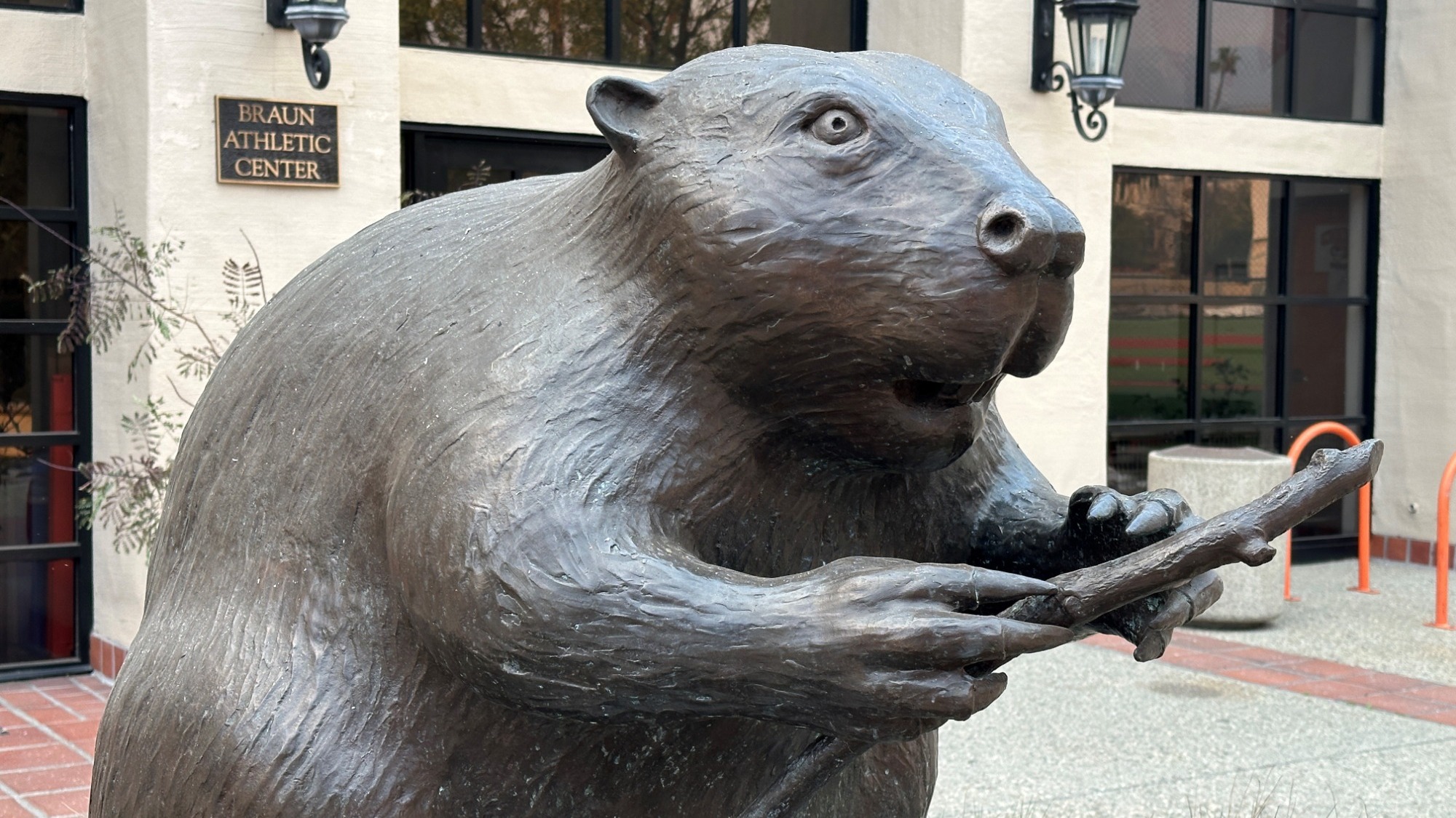 statue of Bernoulli the Beaver