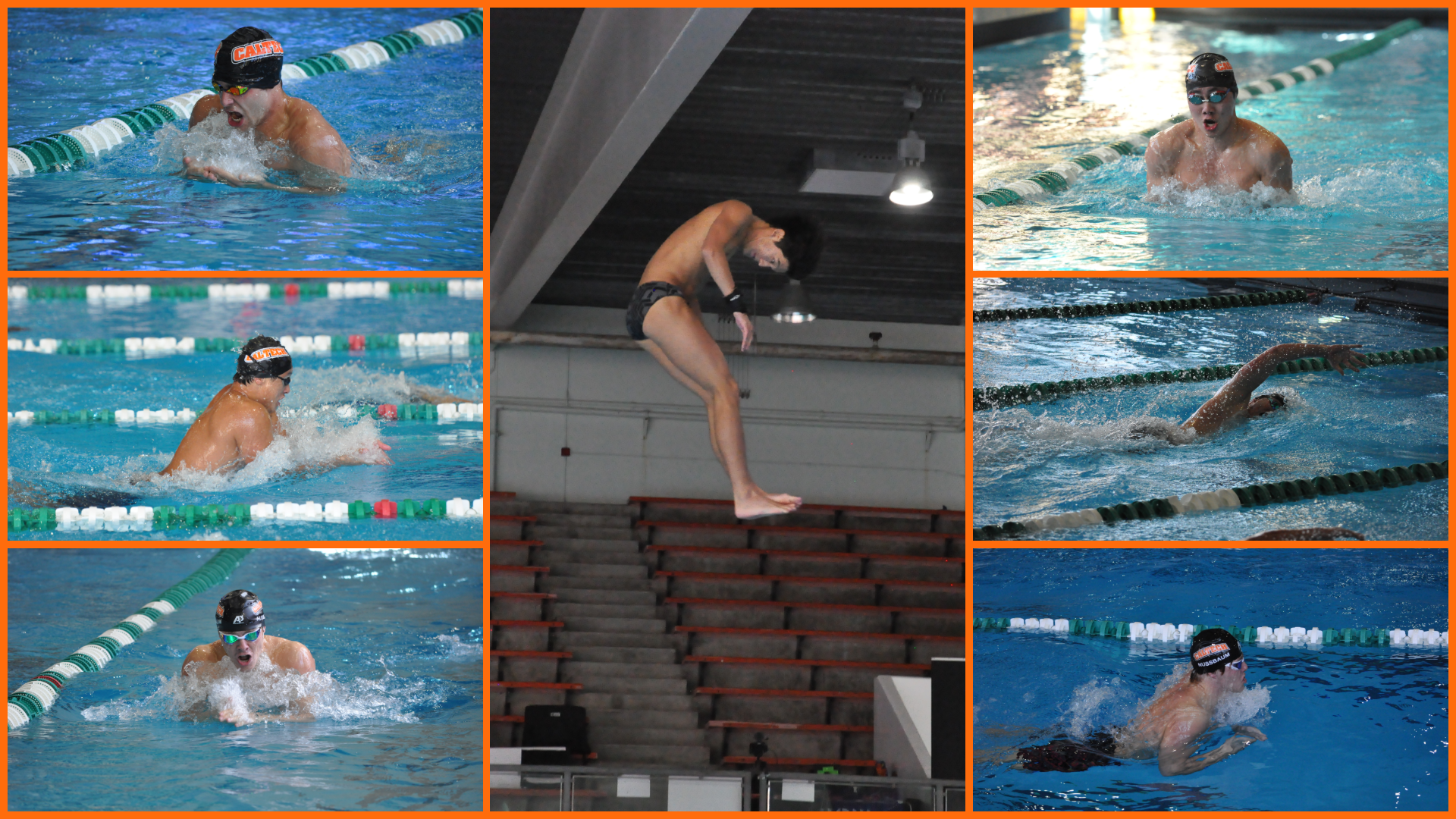 Mens swim and dive championships collage featuring a diver and six swimmers who i am unable to identify at this time