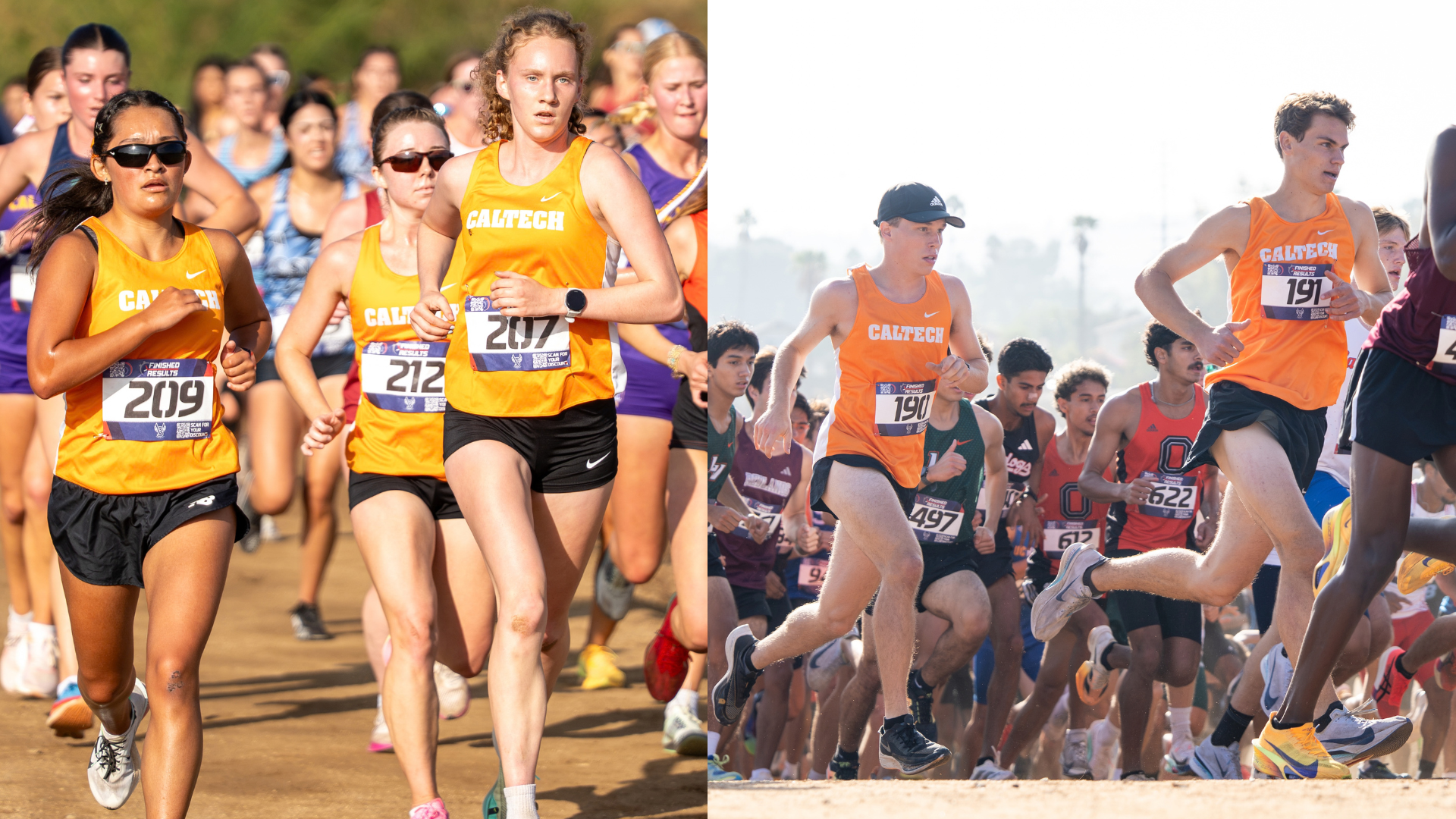 Collage of cross country runners at the UC Riverside Invitational