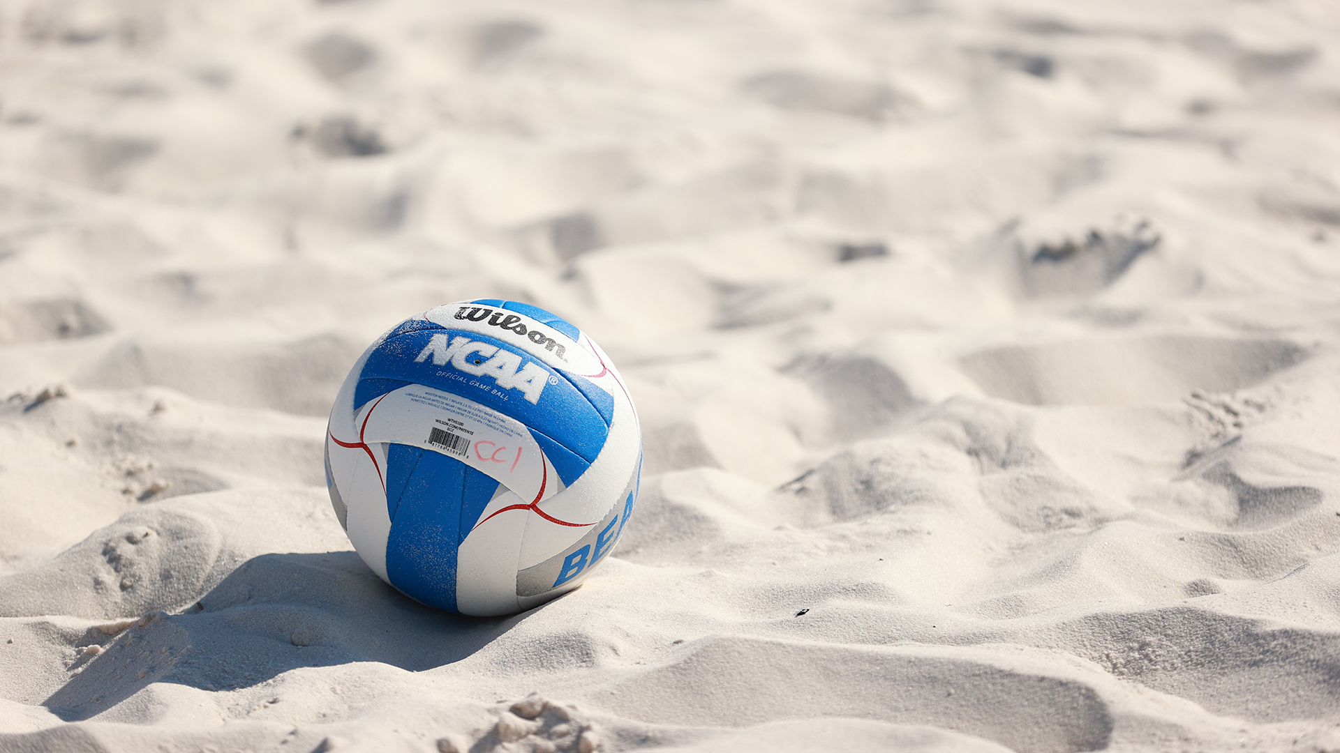 DI committee supports 16team beach volleyball championship bracket in