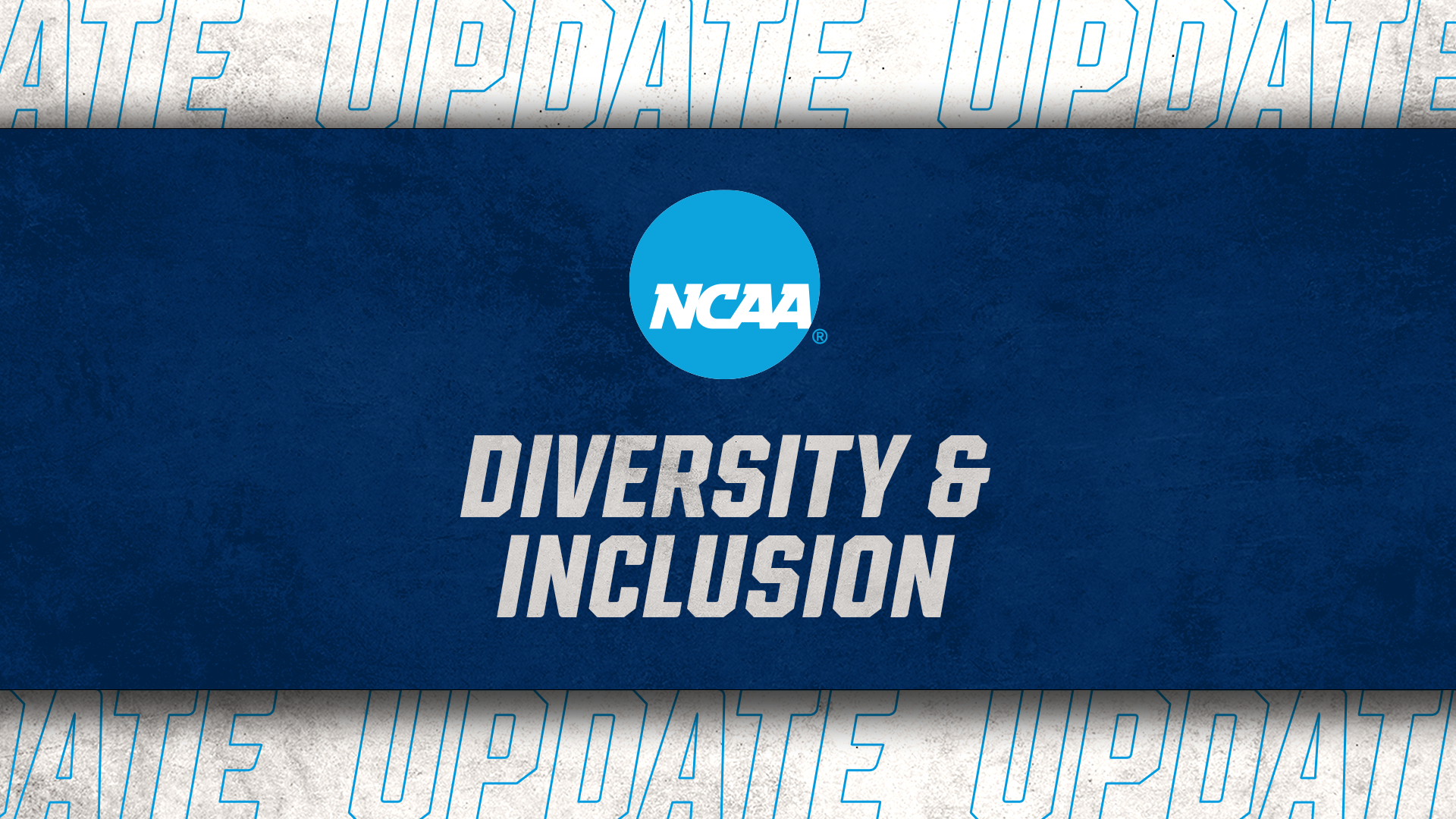 DiversityInclusion_Update