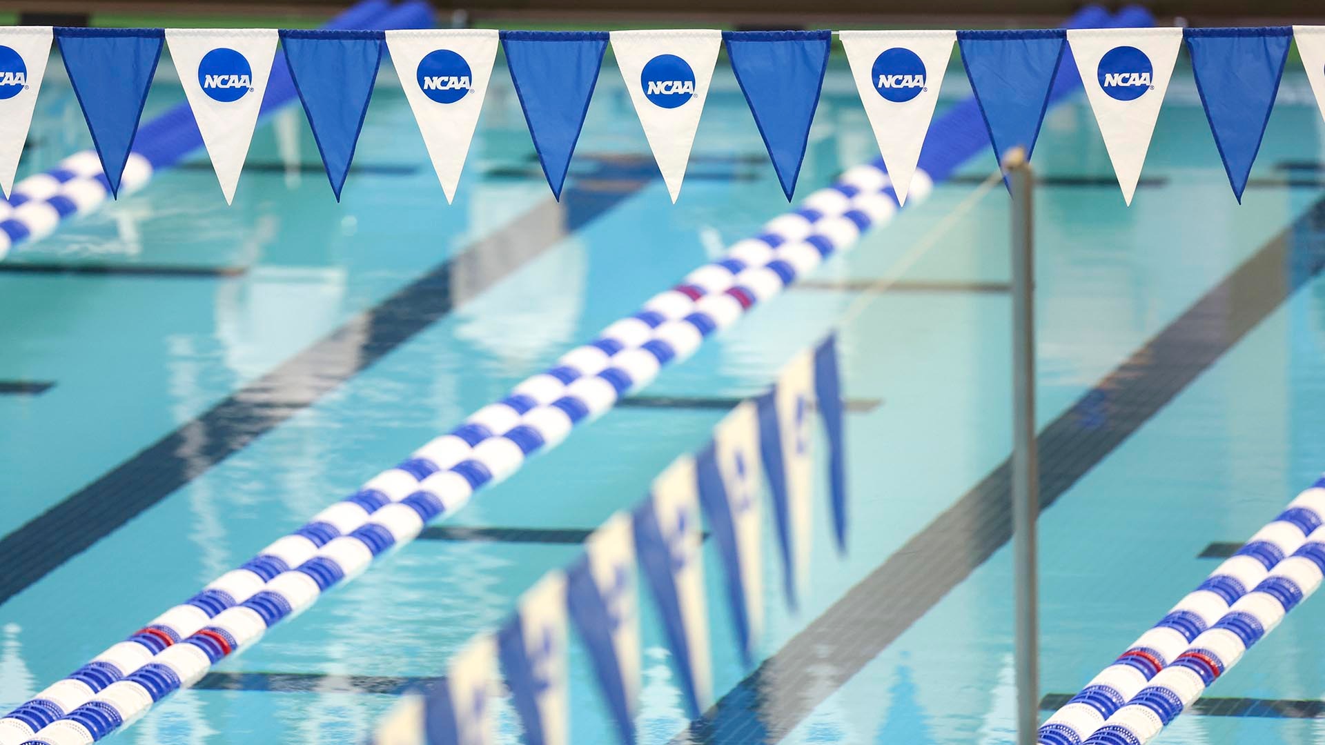 Panel approves clearer definition of bona fide competition in swimming
