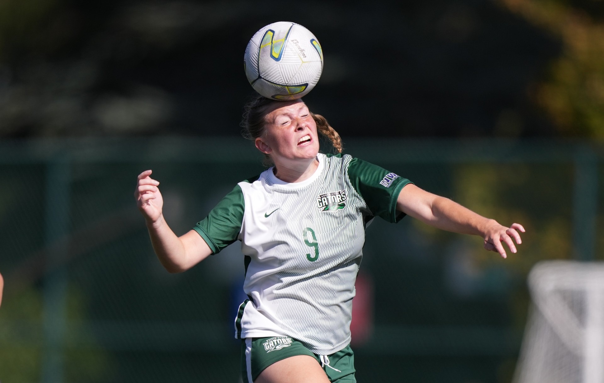 jeff