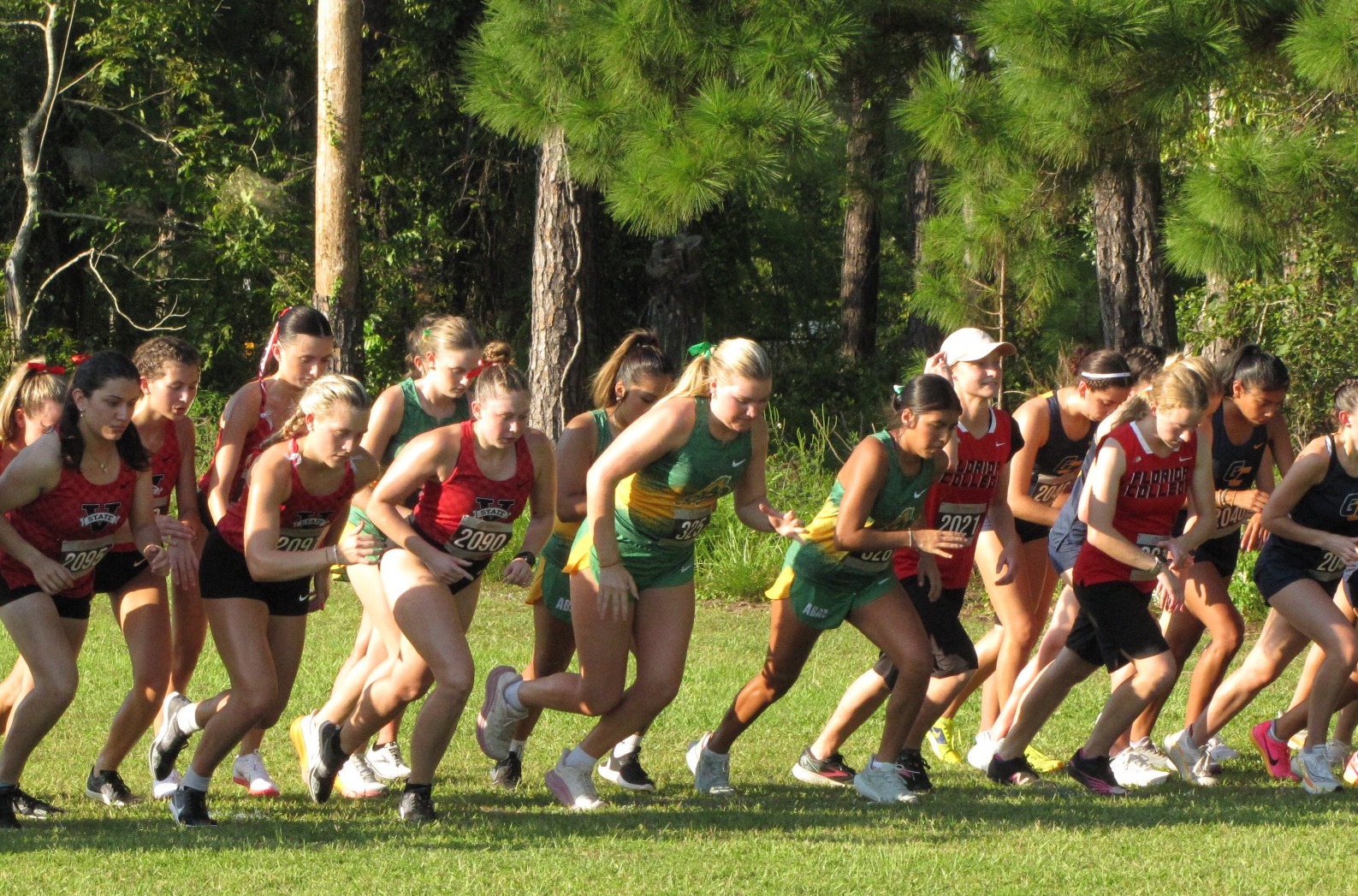 ABAC Fillies run at a cross country meet