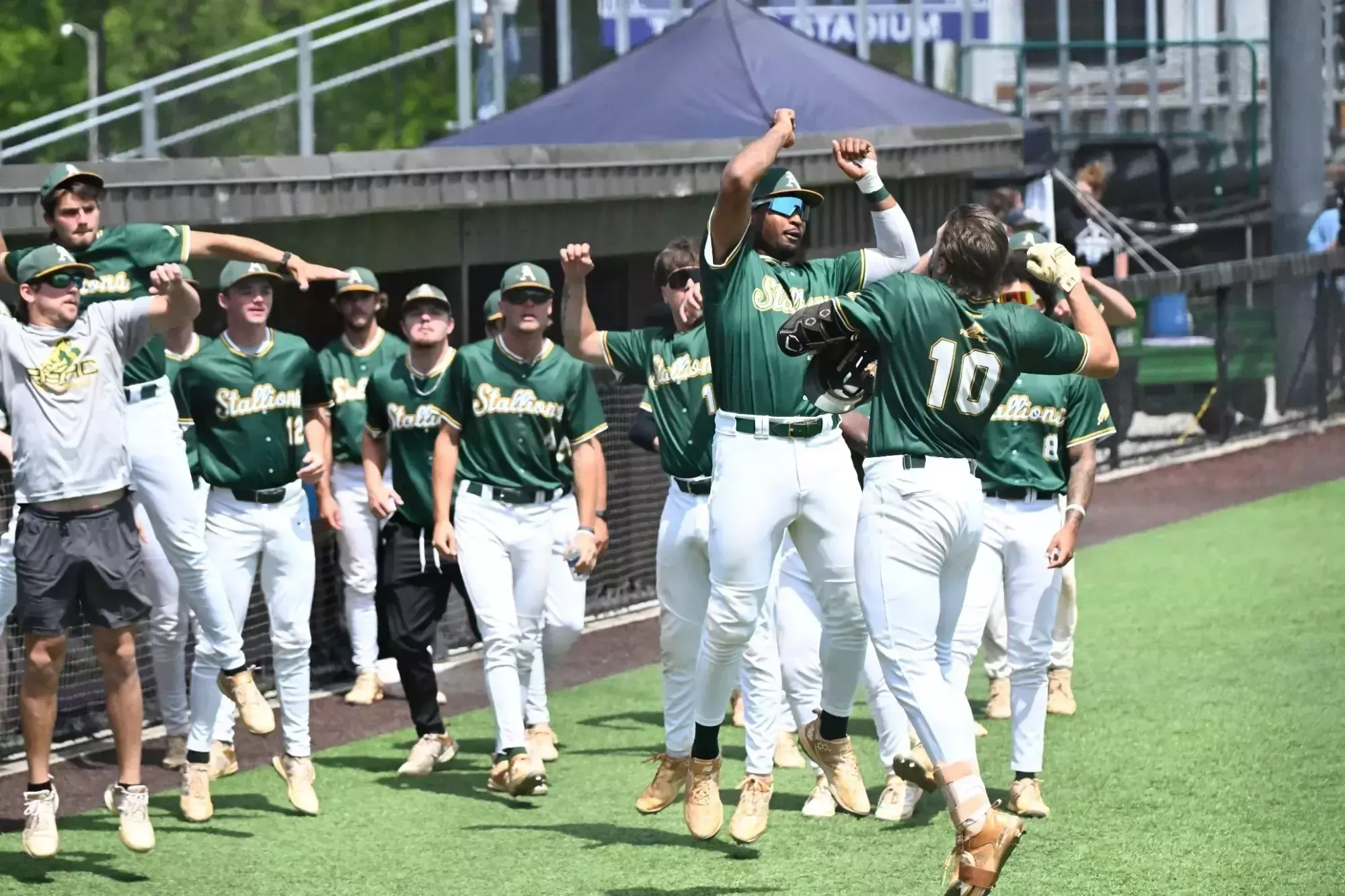 Chasin Cash celebrates with teammates after his three-run home run against Mount Mercy.