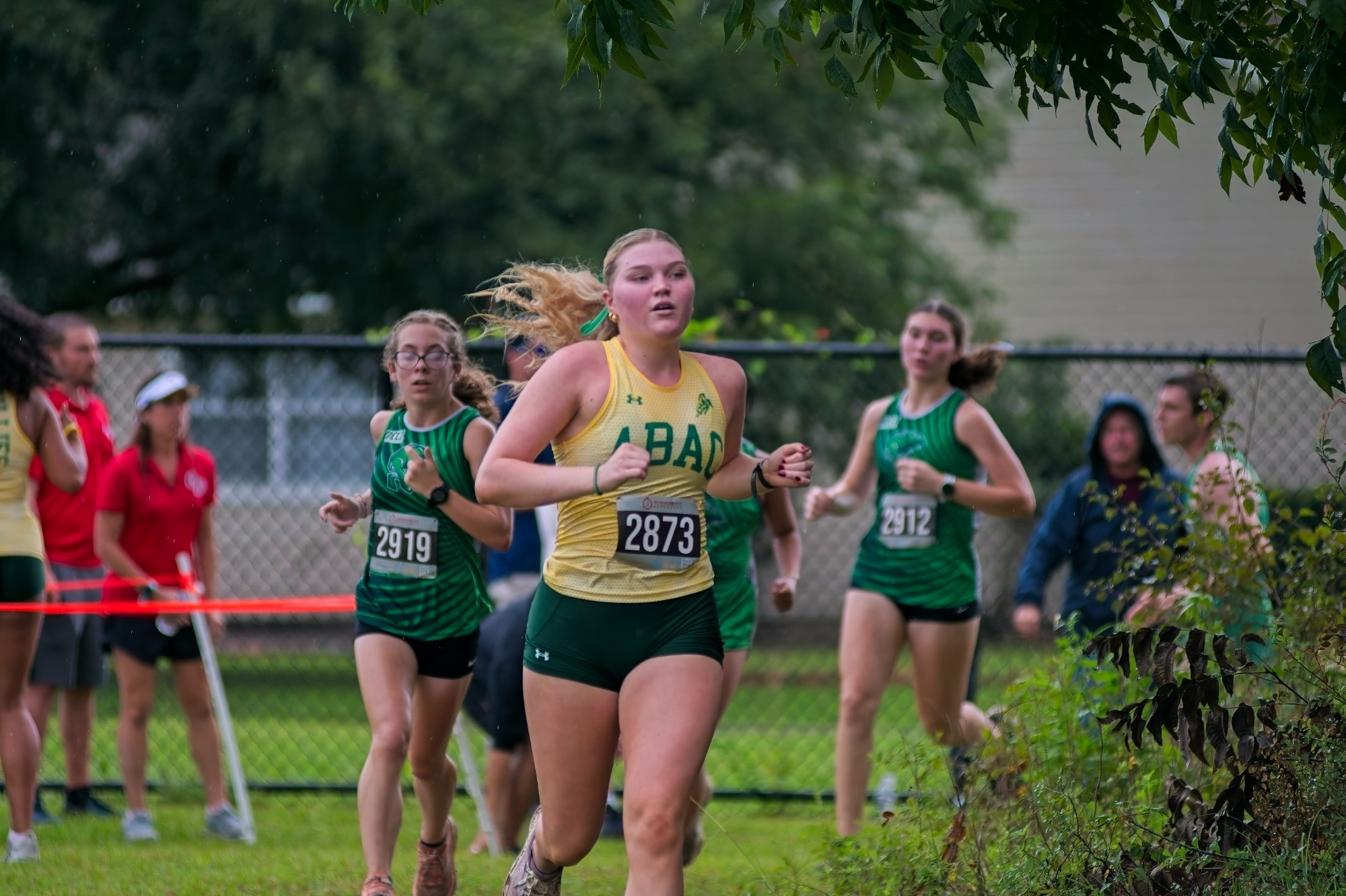 Fillies run at Border Clash