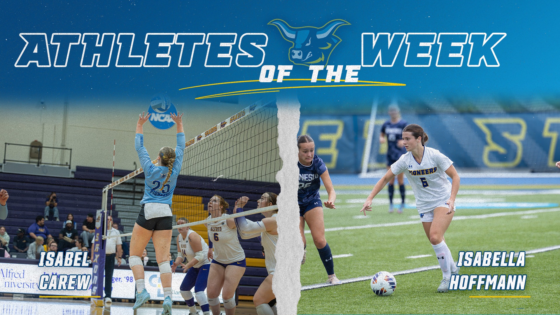 10.12AoTW
