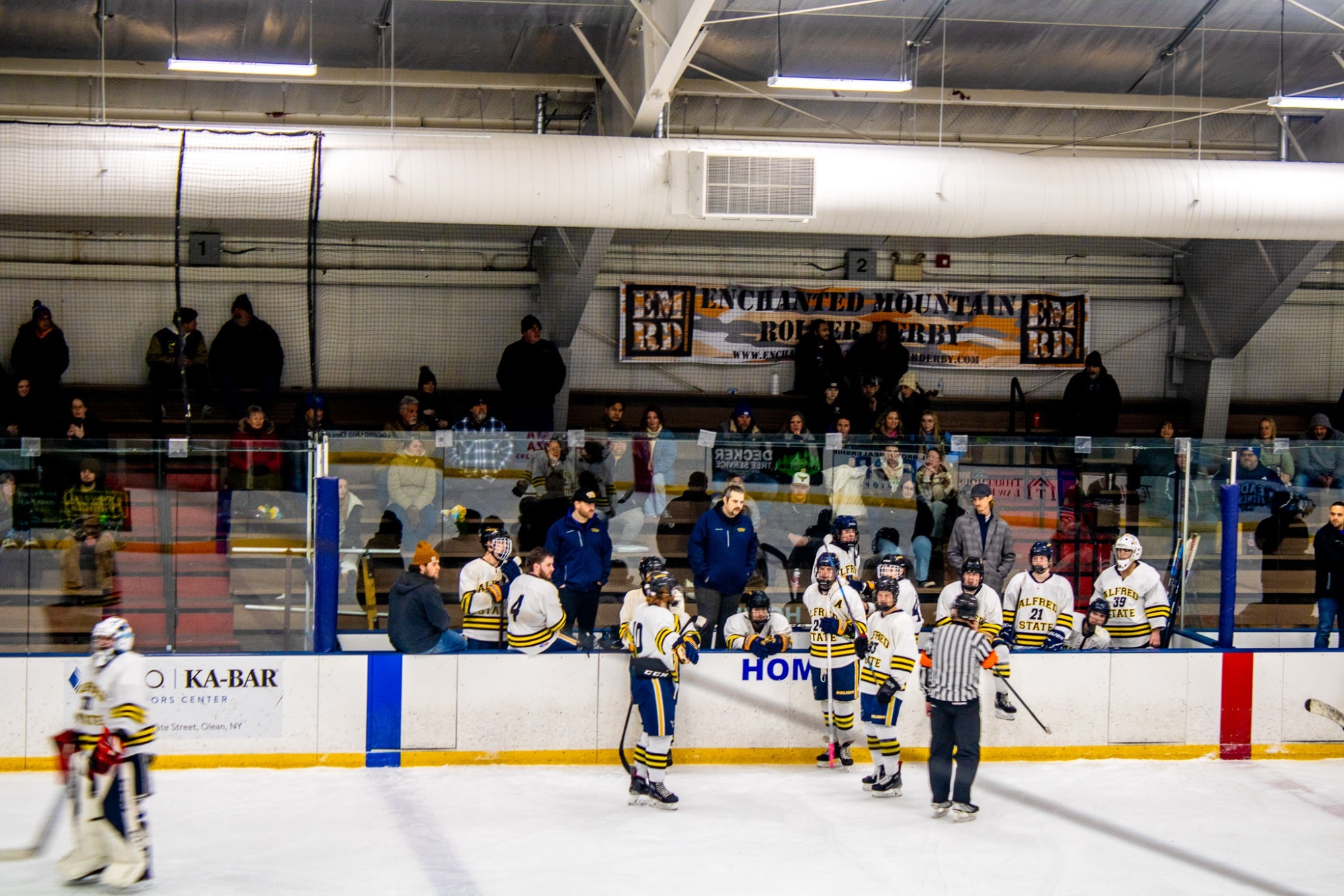 Team action shot from the bench