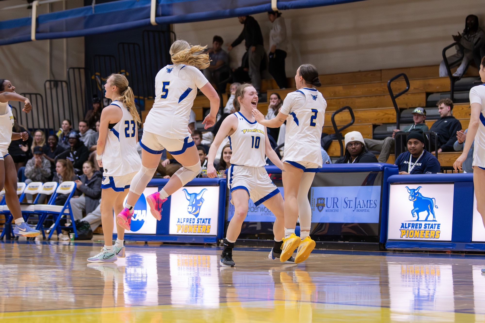 WBB vs Mount Aloysius 2/24 