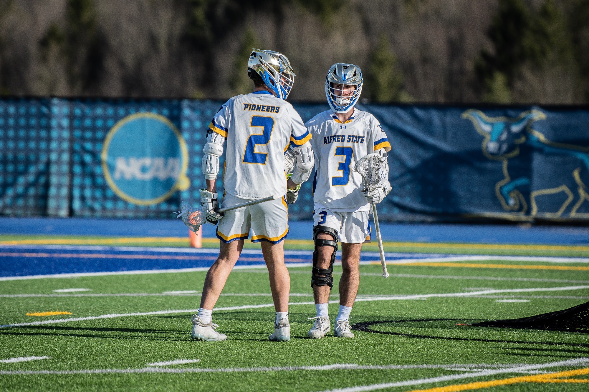 2025 Men's Lacrosse Schedule - Alfred State College