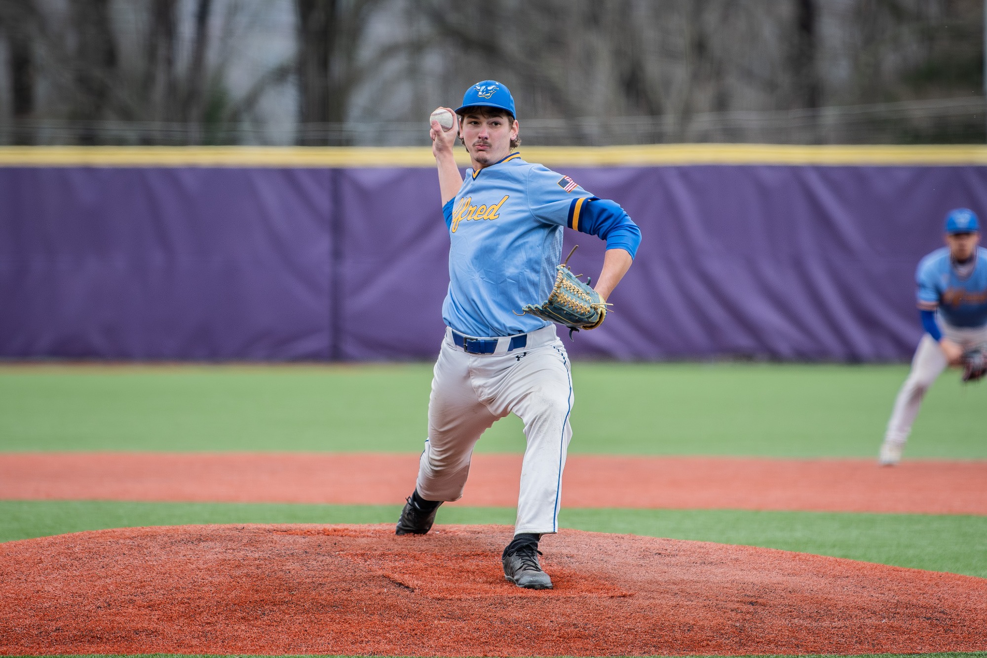 Alfred State Baseball