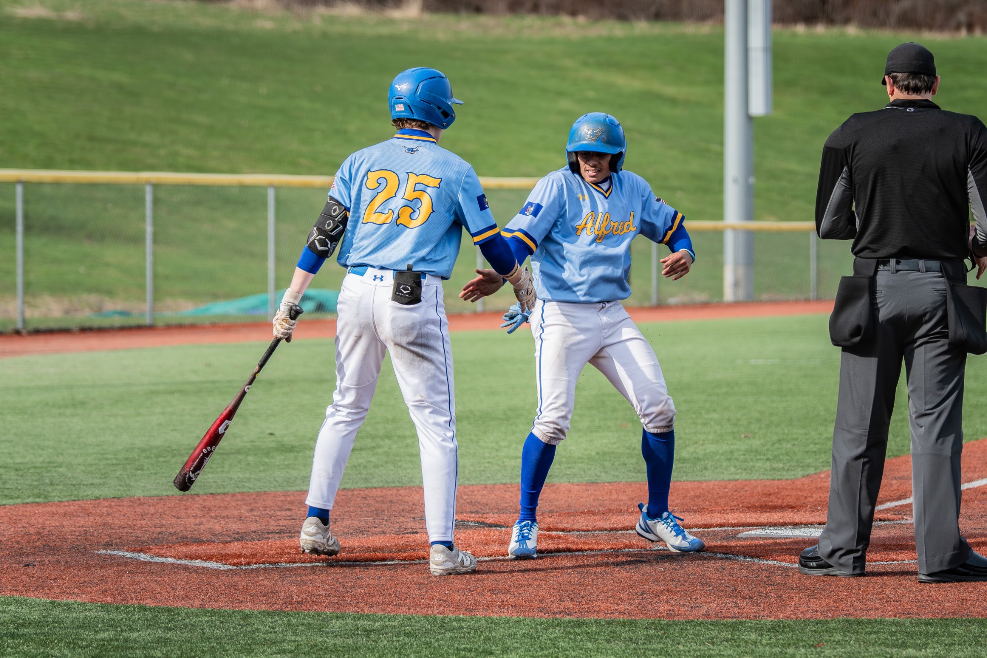 Alfred State Baseball