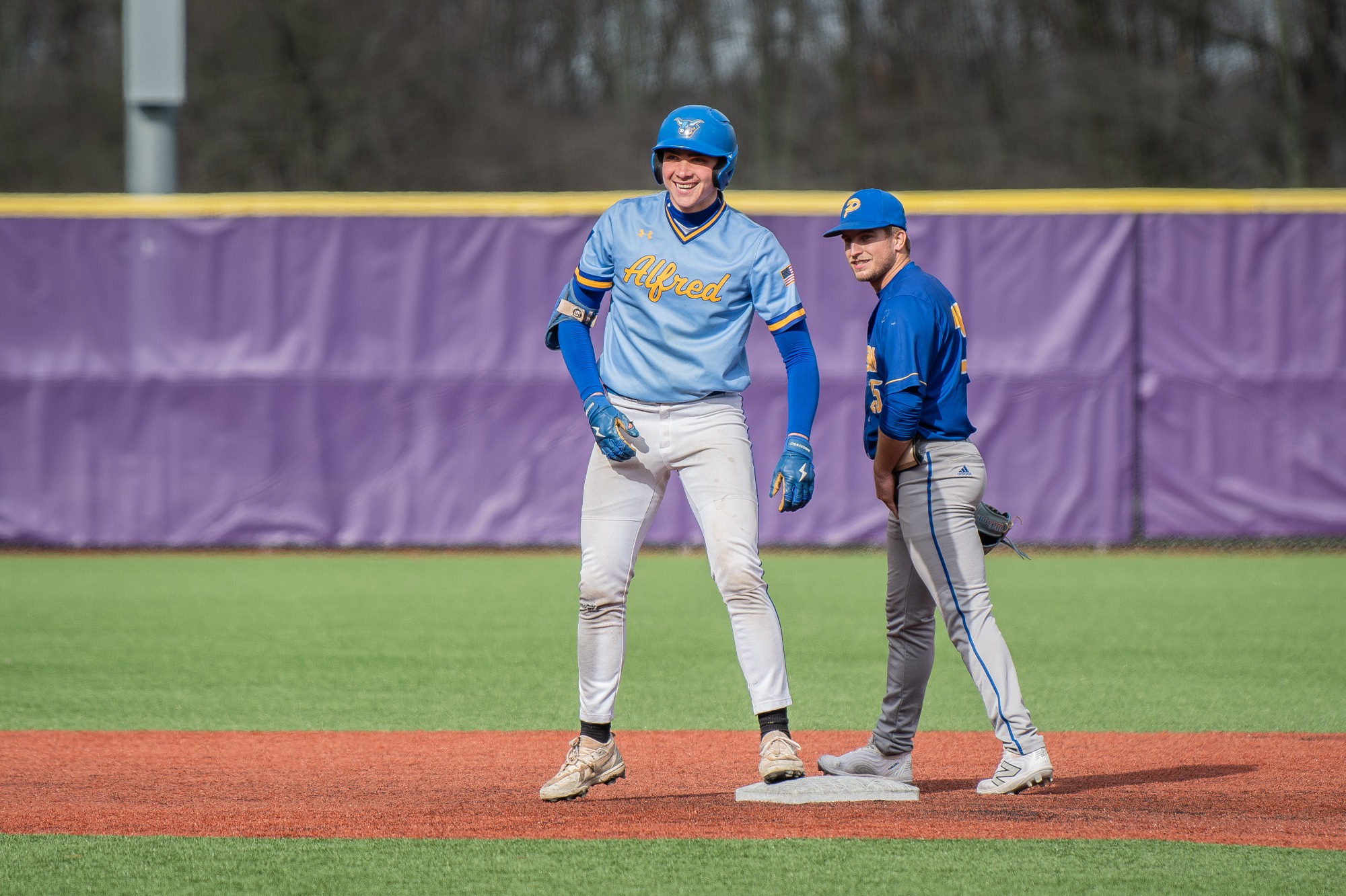 Alfred State Baseball