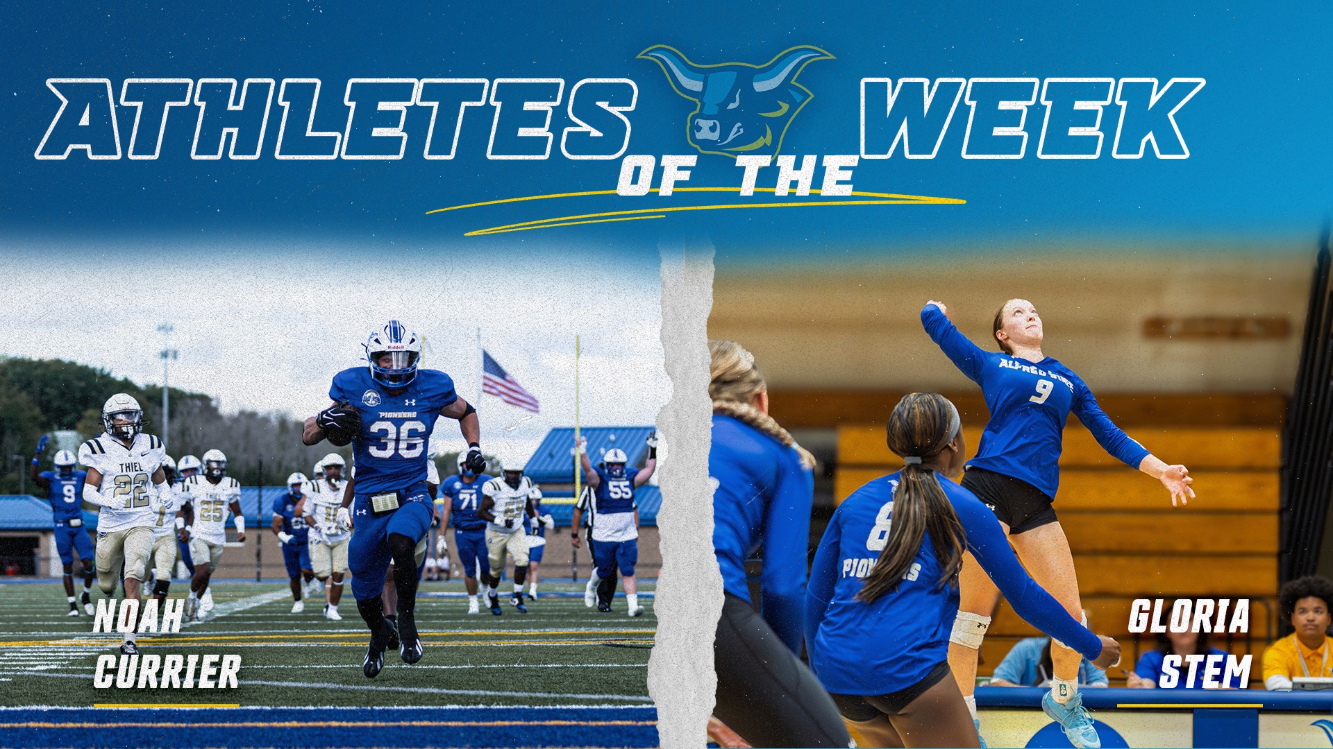 AOTW 9.7