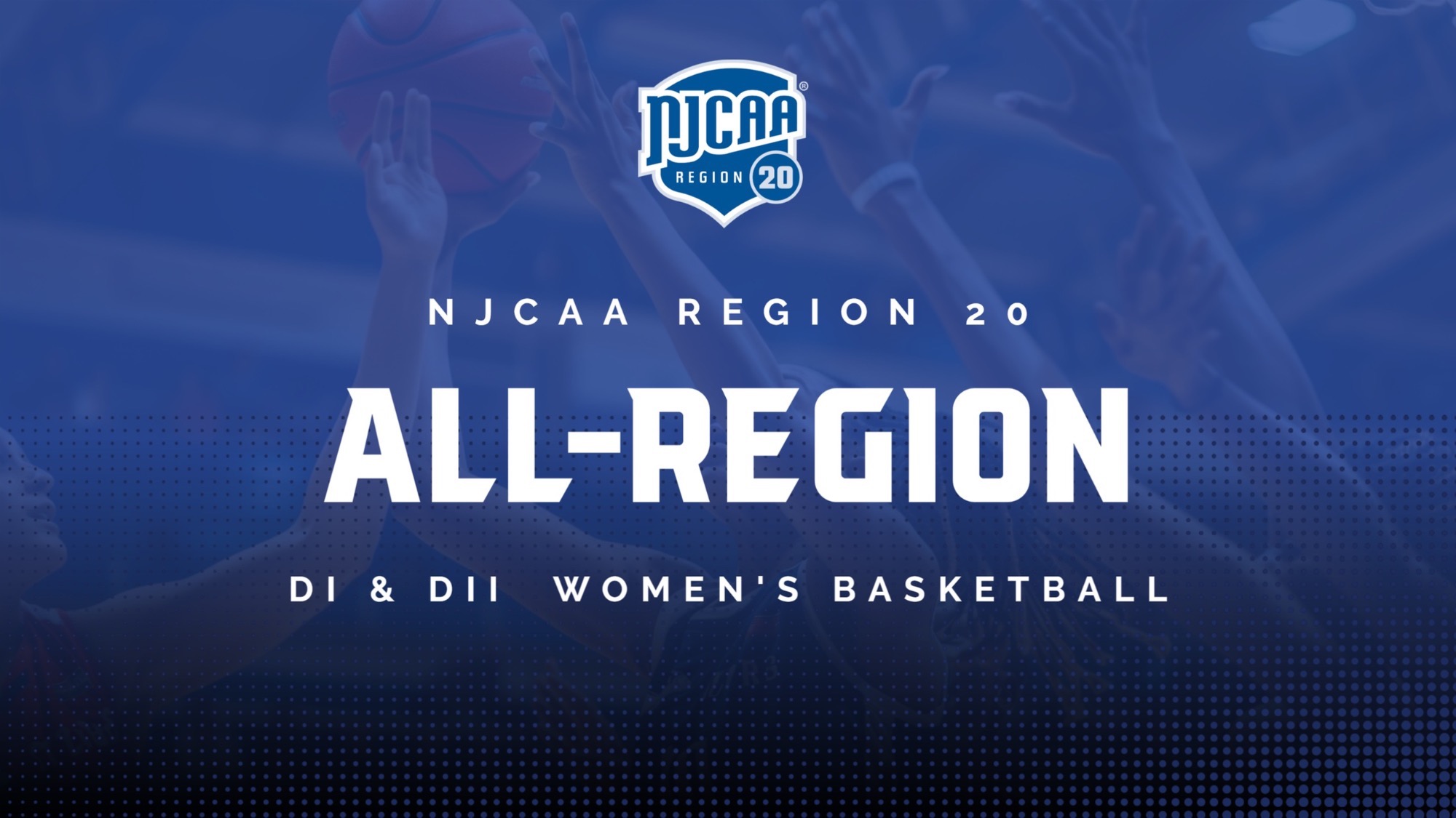 NJCAA Region 20 D 1 WBB Award Banner
