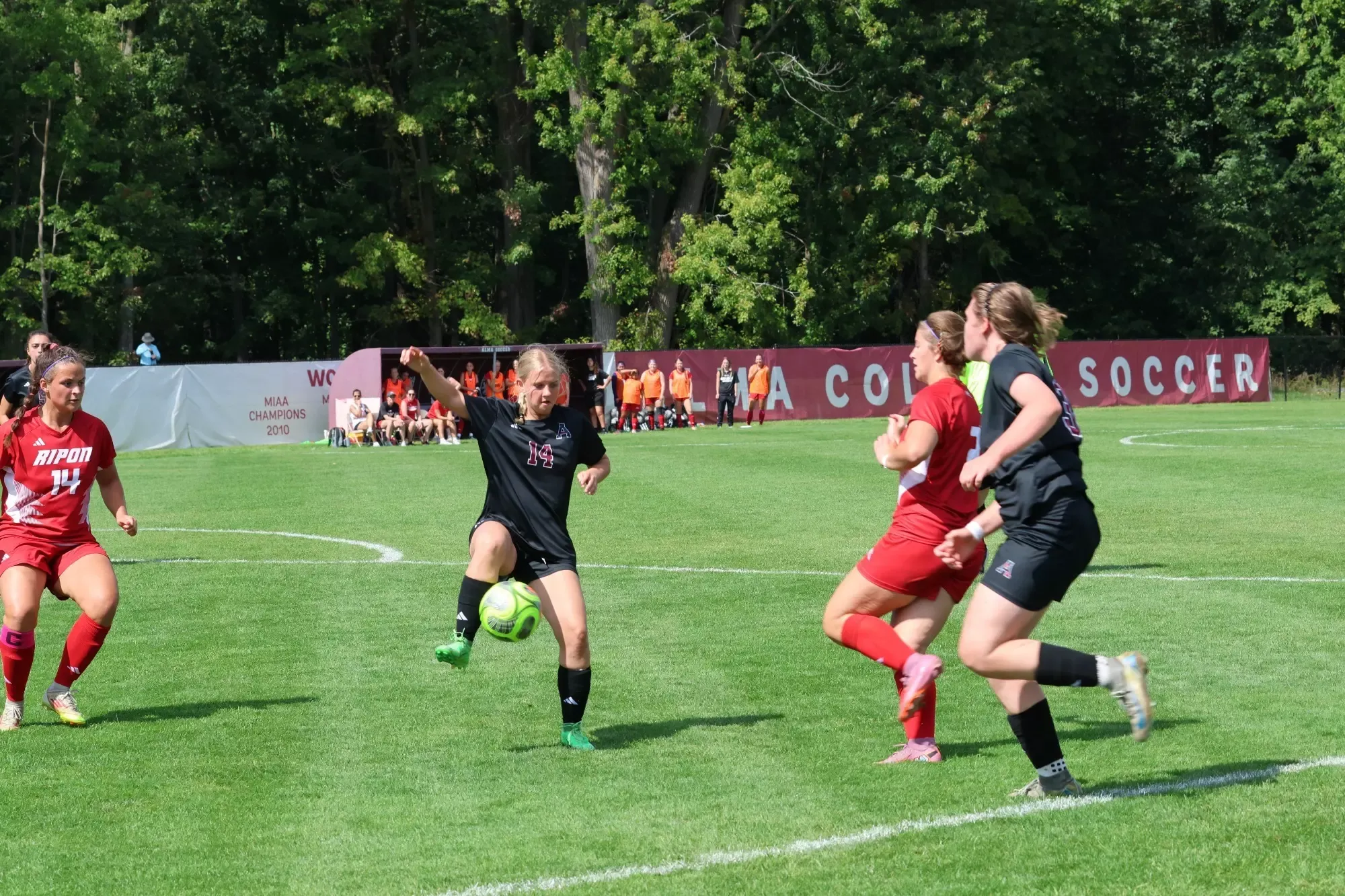Allie Ferrall