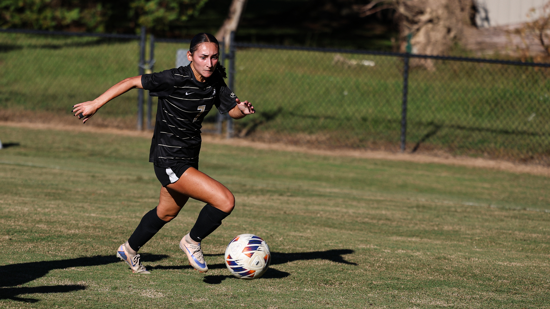 Kaitlyn Gregory vs. Newberry