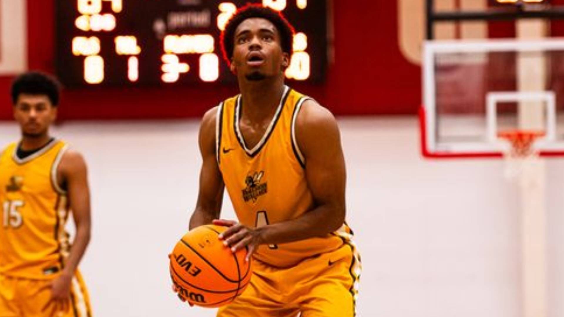 Titus Baskerville IV Nov 18