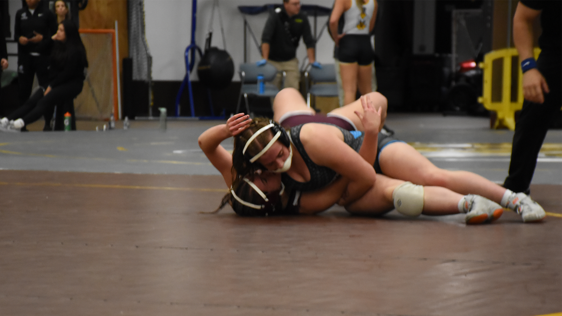 Gillian Coulson Nov 23