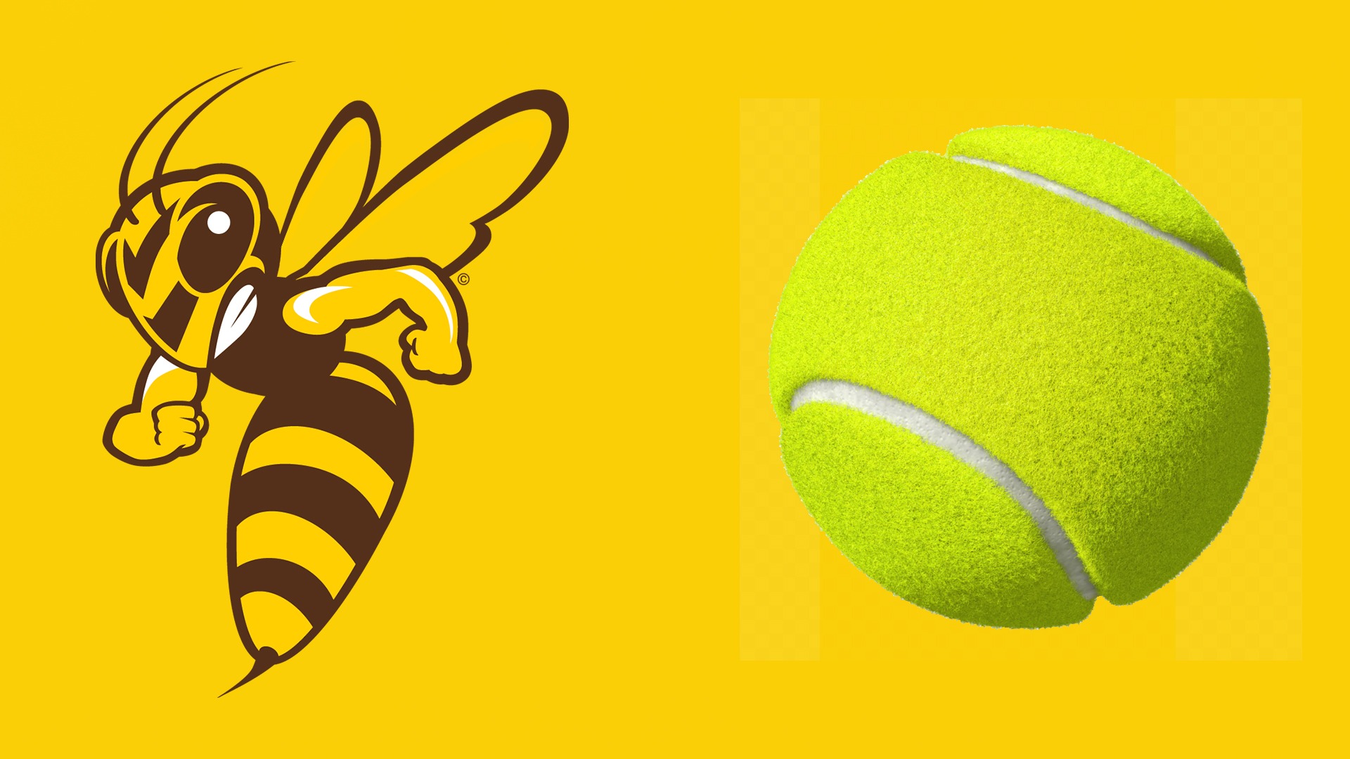 Tennis Stinger Gold Story