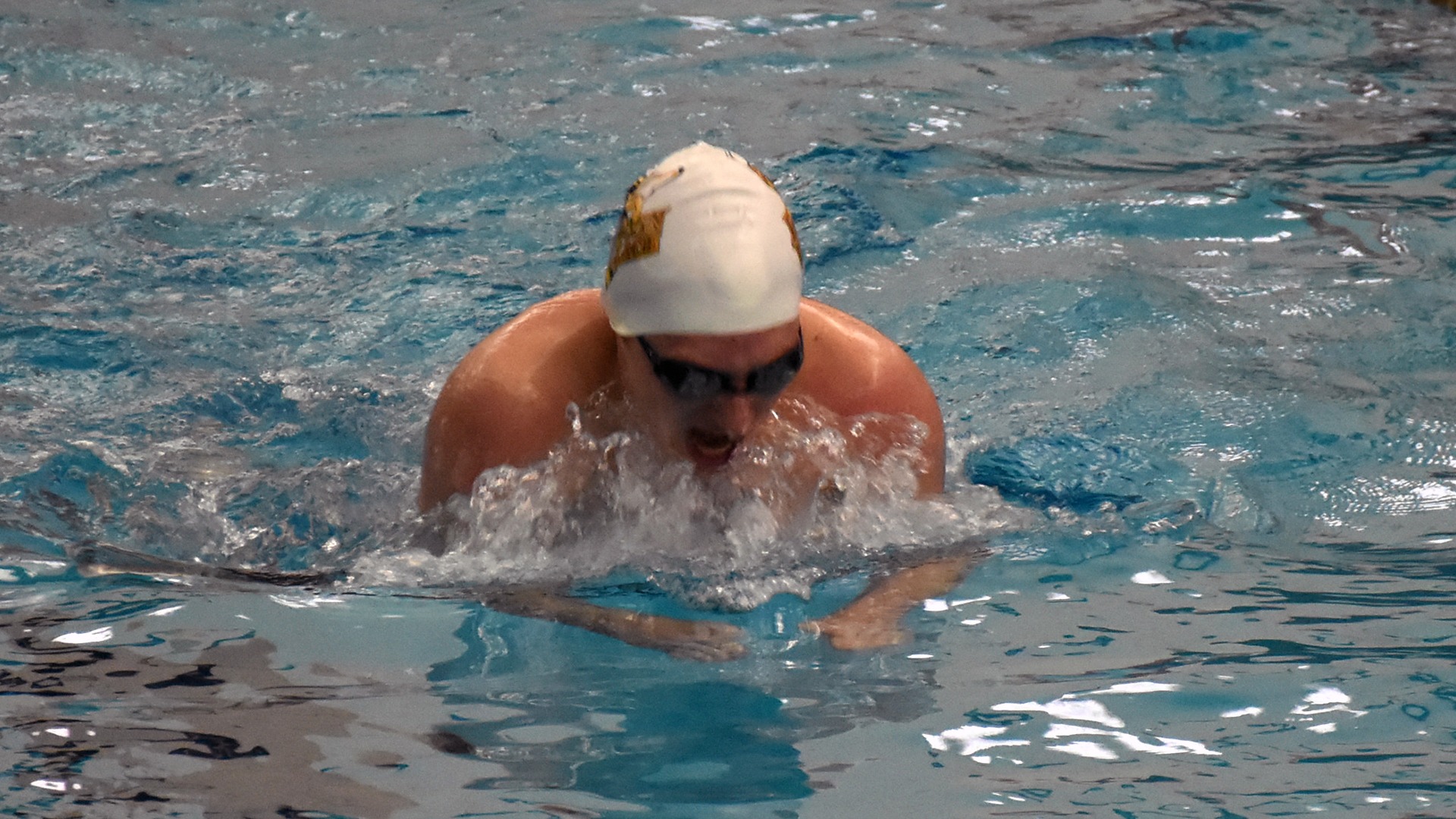 2026 Bluffton/Heidelberg Men's Swim Story