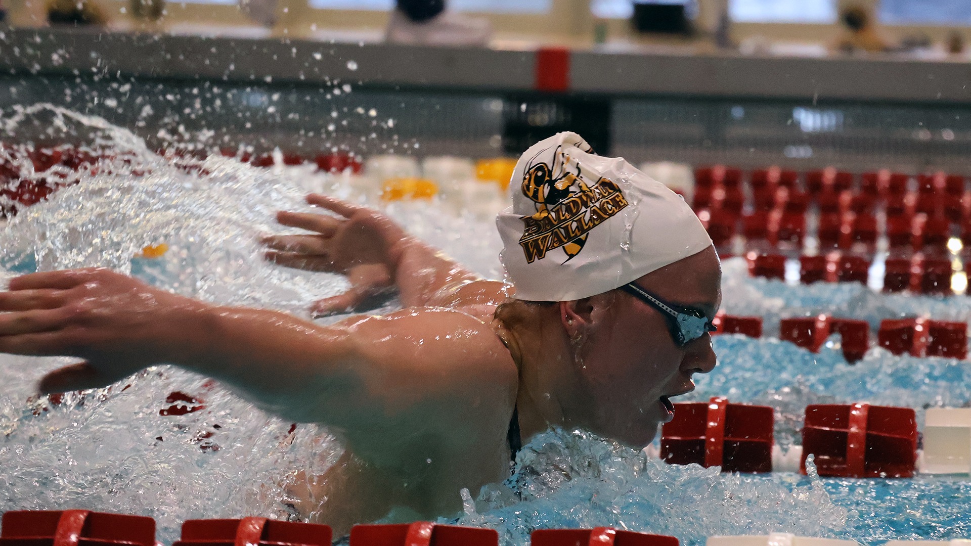 2026 Bluffton/Heidelberg Women's Swim Story