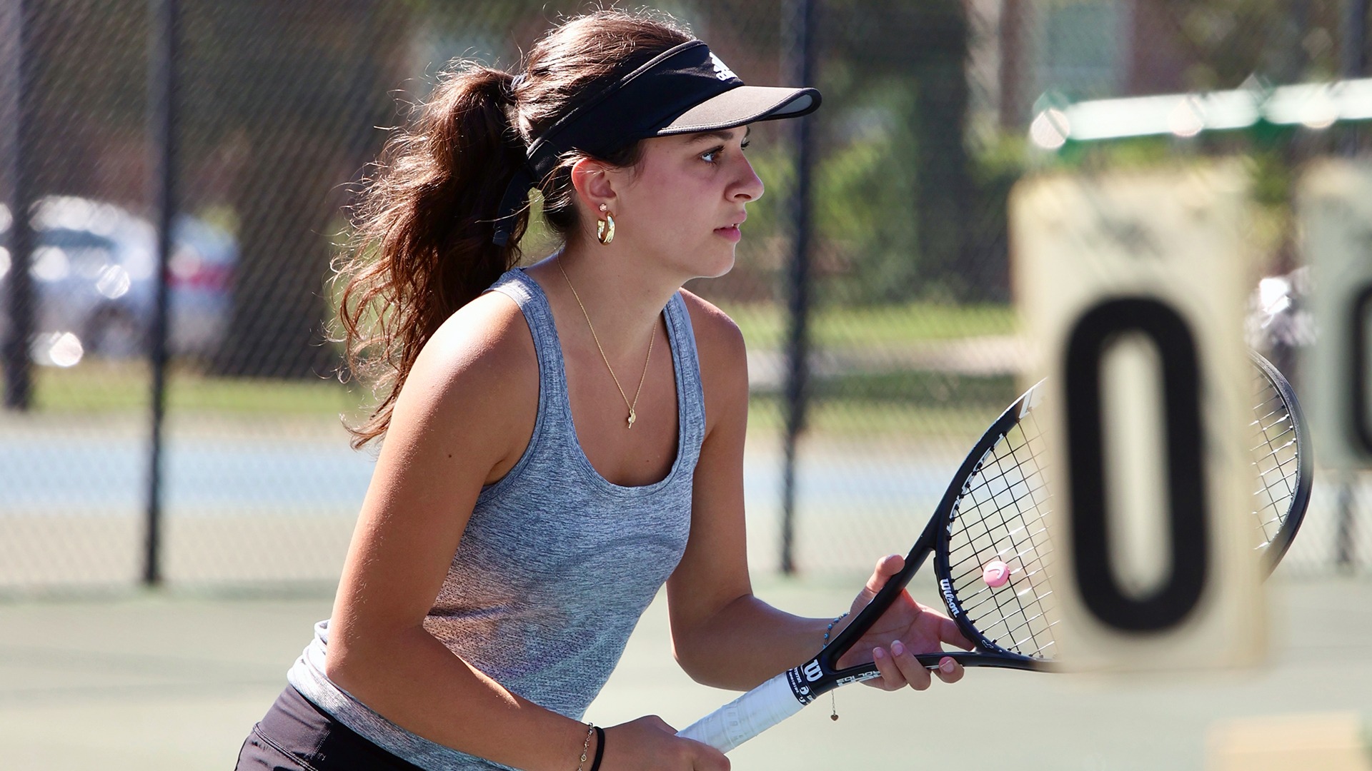 Western New England Women's Recap