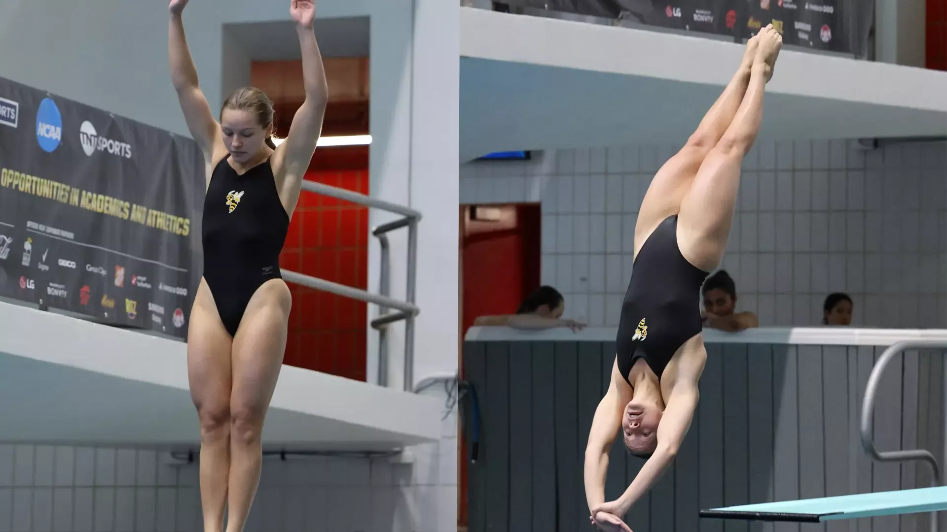 2026 NCAA 1-Meter Diving Champs