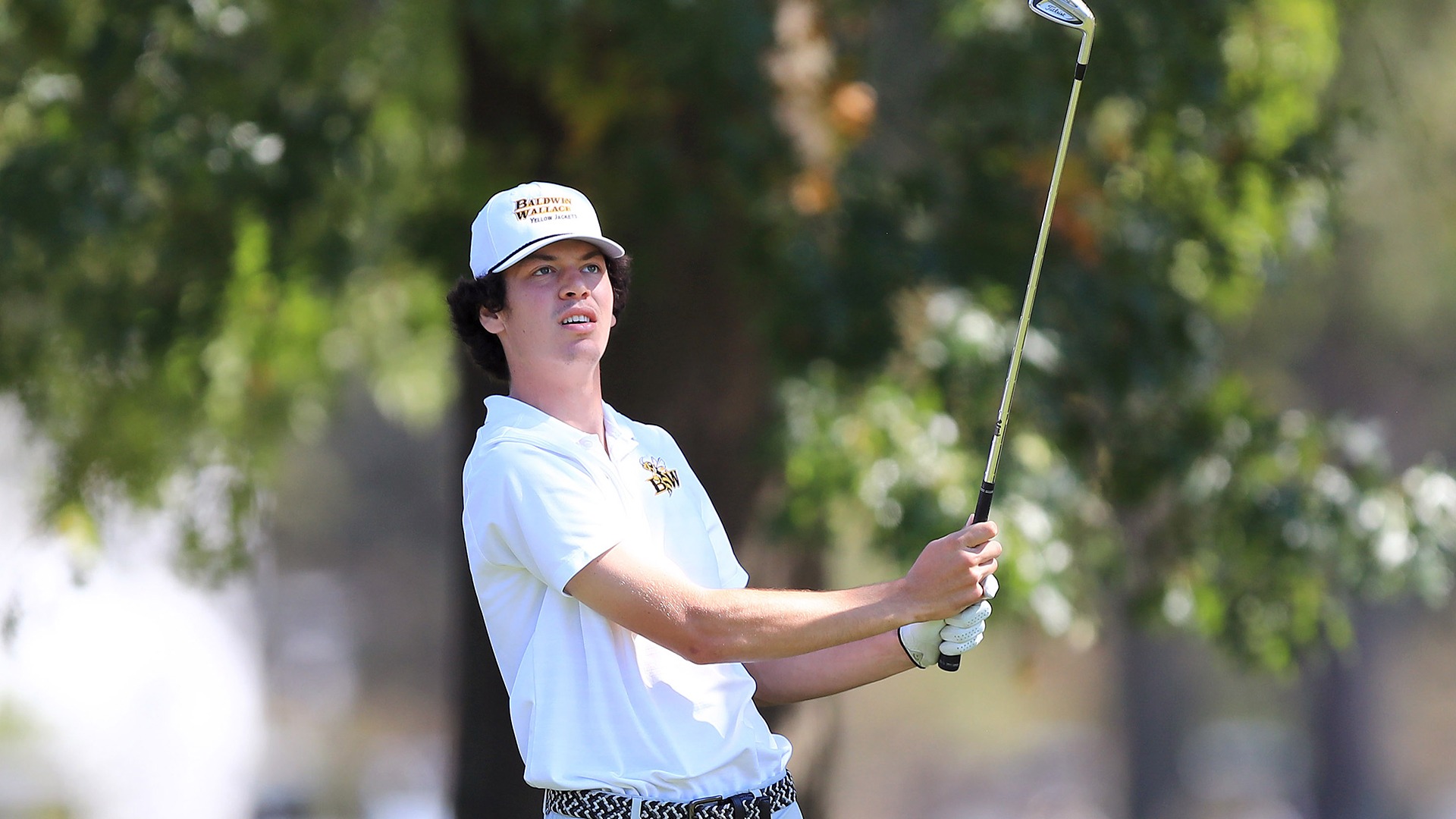 Ardner Wooster Spring Recap