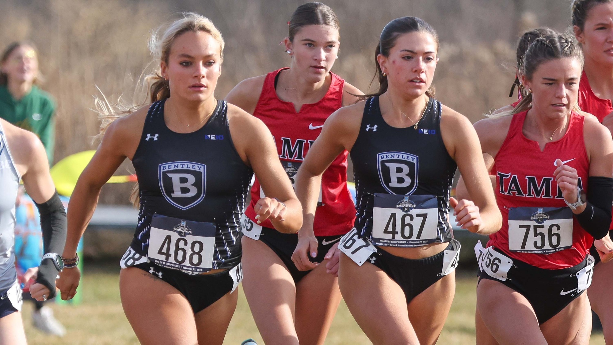 WXC Recap 11-22