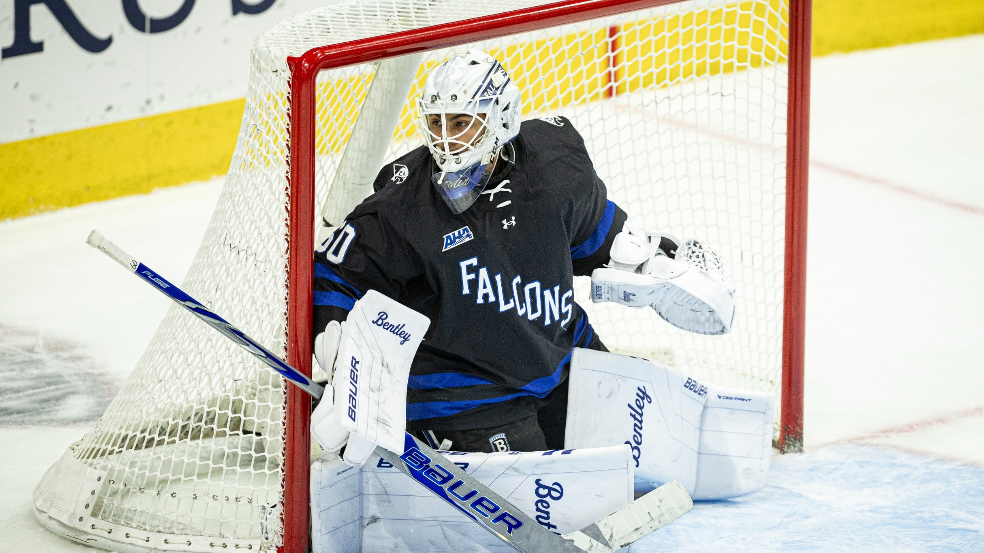 Swedin 10-16