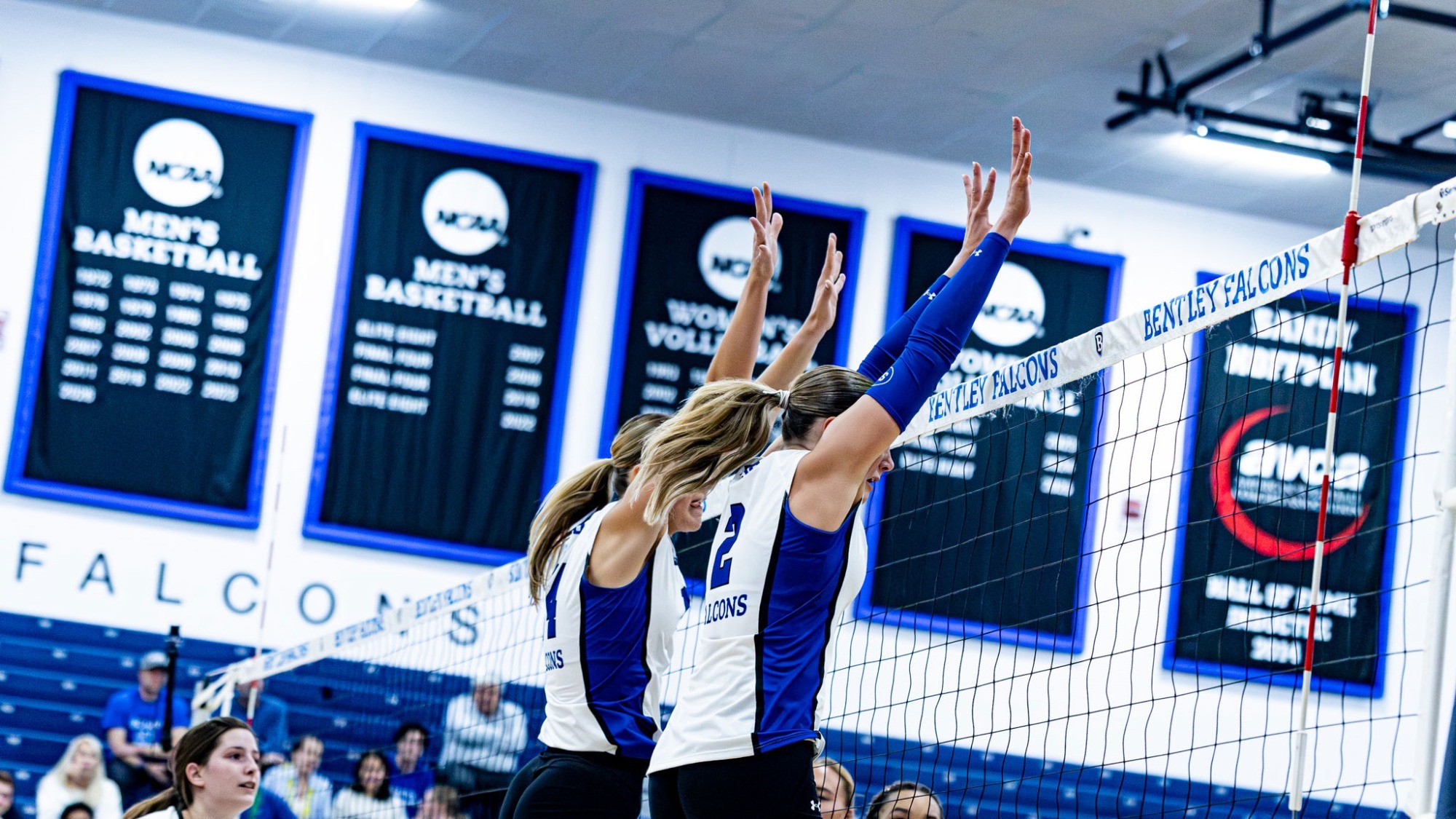 volleyball block