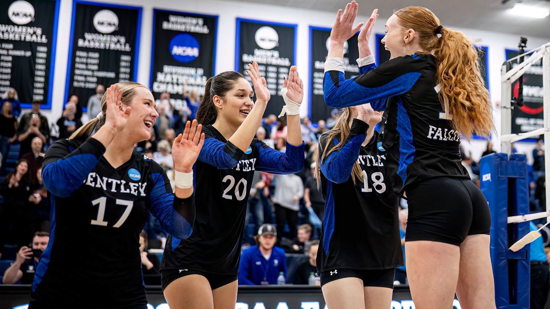 volleyball avca team academic