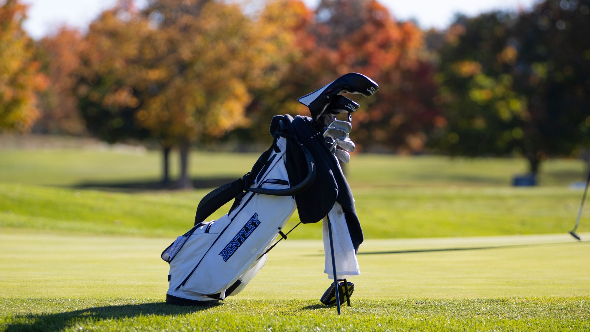 mgolf academic 2026