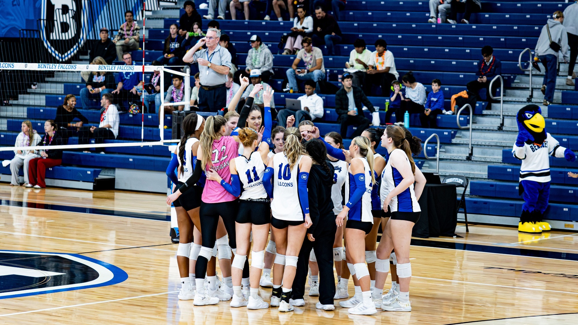 VB team 9-26