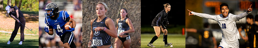 Fall Sports Collage