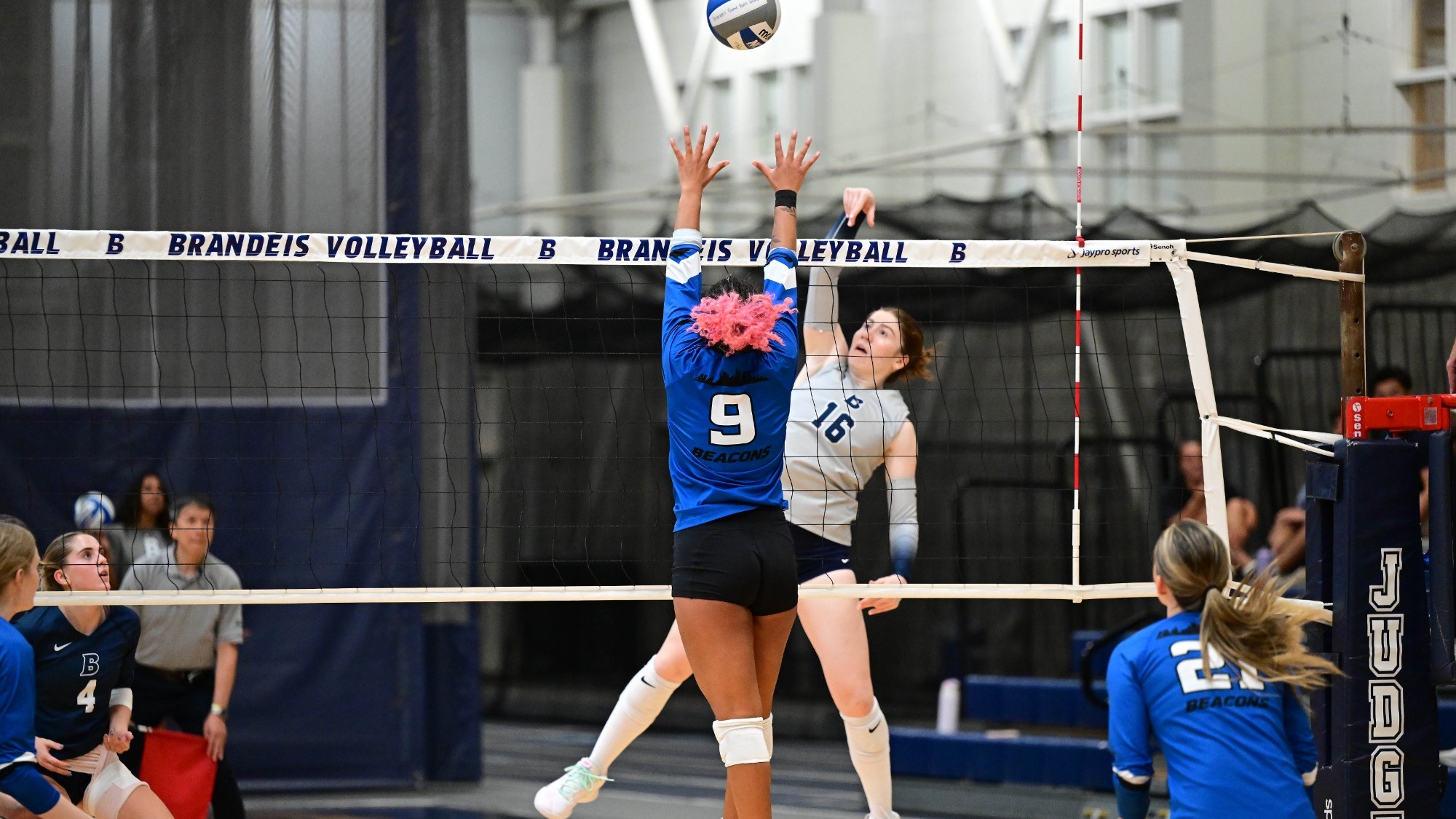 Anna Ertischek attacks a volleyball during a match