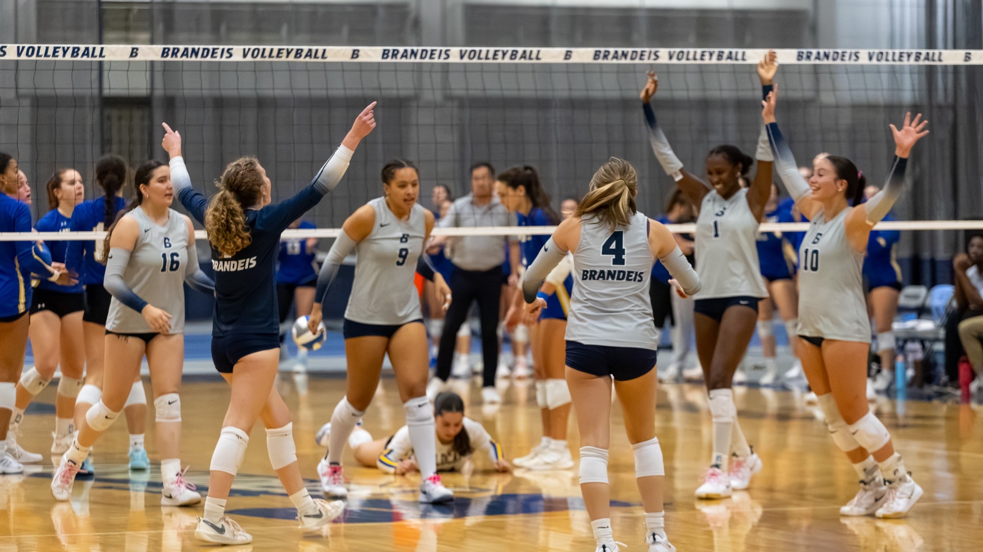 The volleyball team celebrates winning a point with their hands in the air on the court