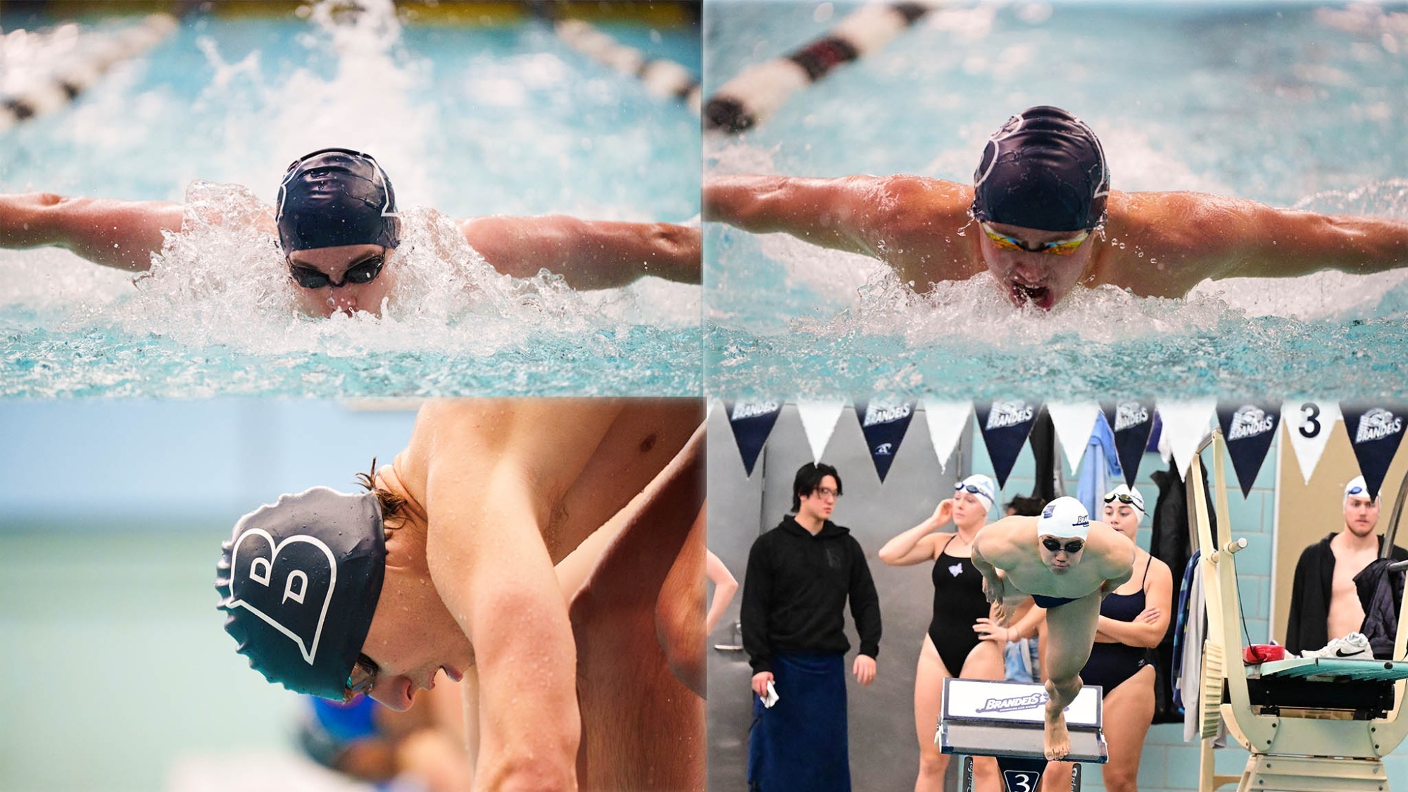 Four images of Brandeis men's swimmers in action during meets