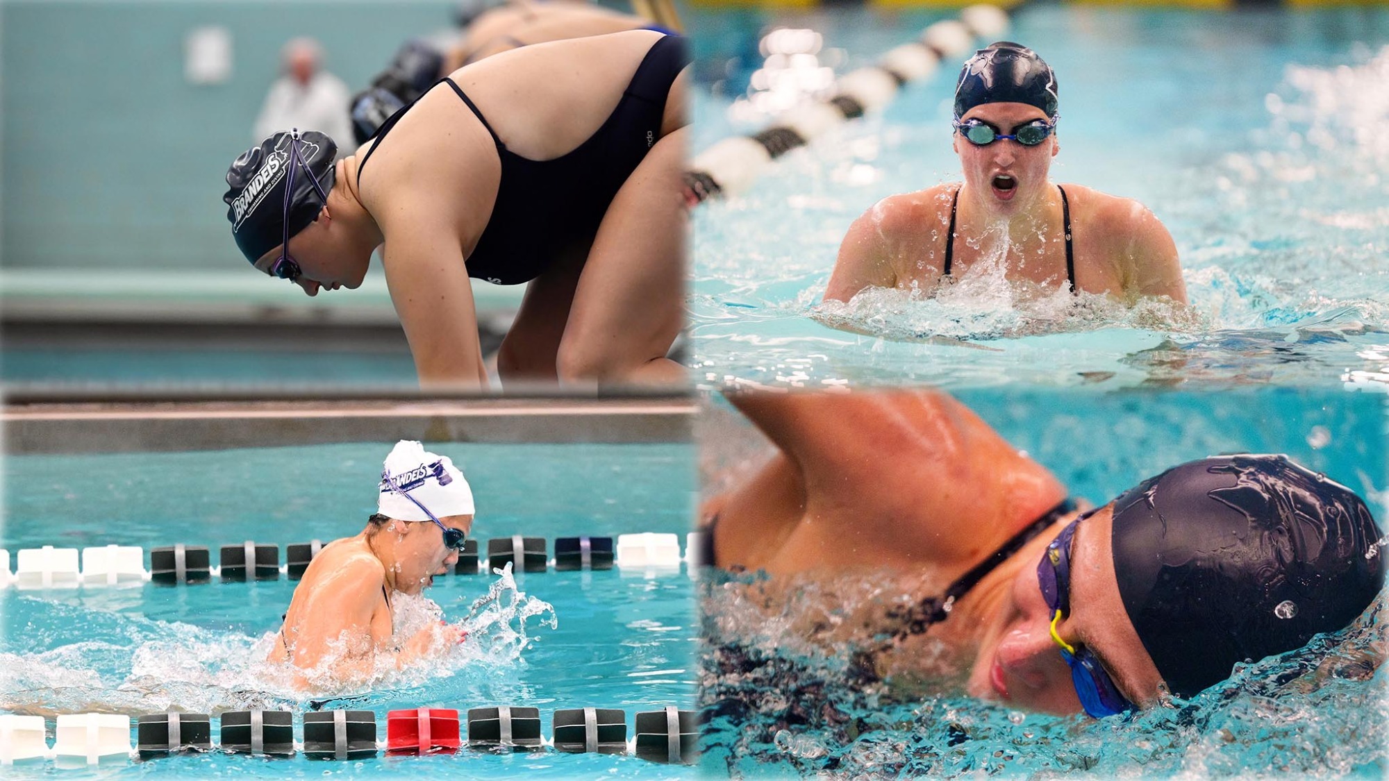 Four members of the women's swimming and diving team in action during a meet