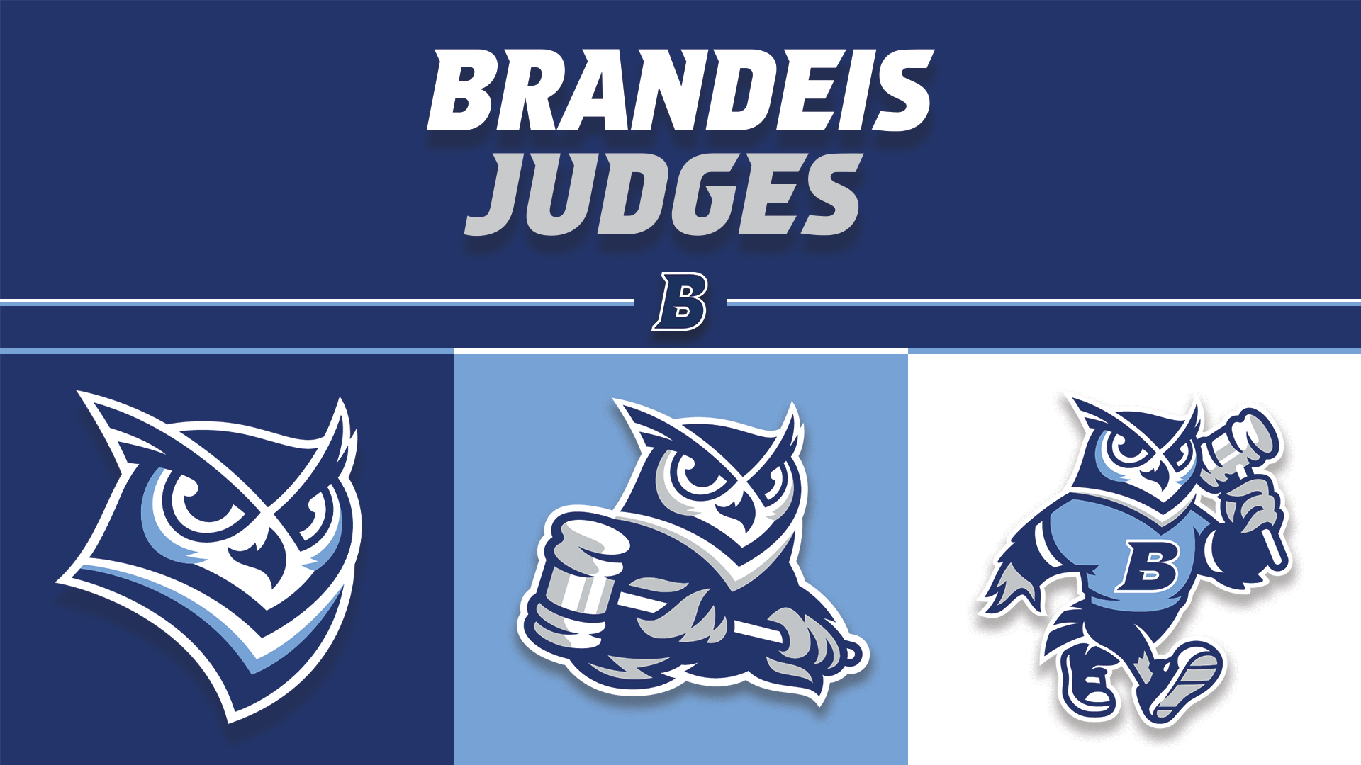 TEXT: Brandeis Athletics; IMAGES: Three versions of the new Ollie logo, including a full owl head, an owl head holding a gavel, and a full-bodied owl